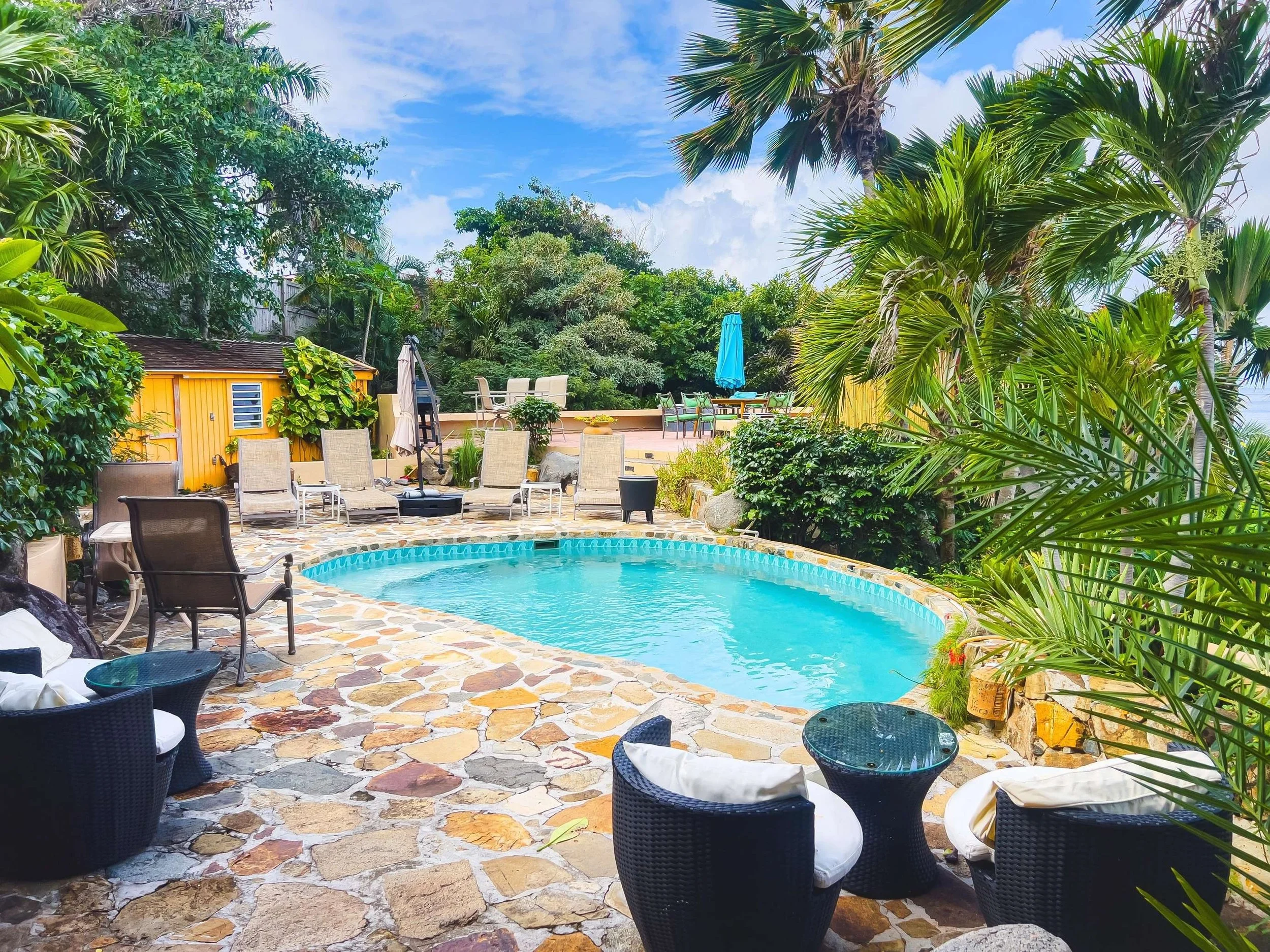 A backyard with a swimming pool surrounded by patio furniture, tropical plants, and trees under a blue sky with some clouds.