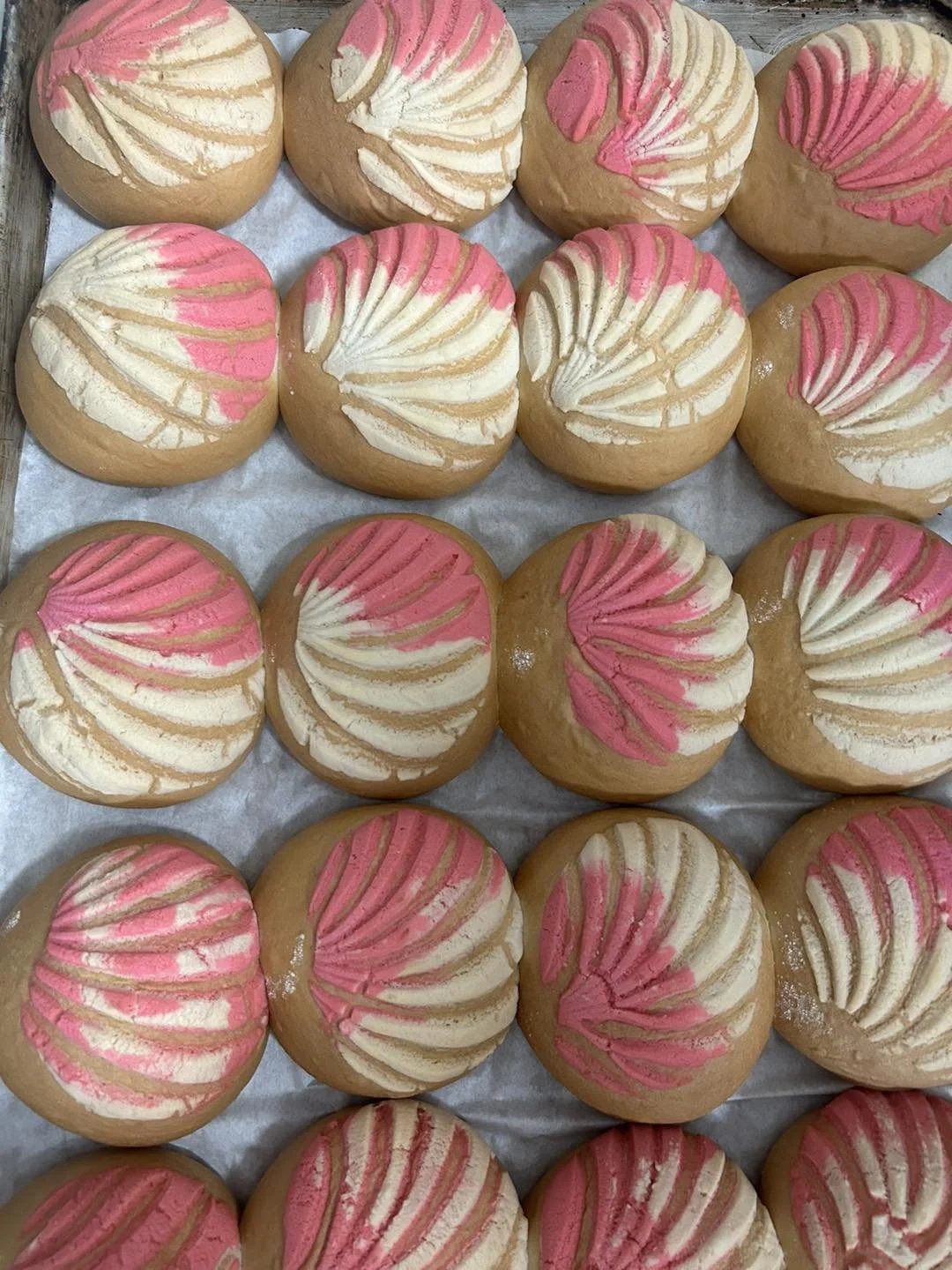A tray of conchas decorated with white and pink colors.