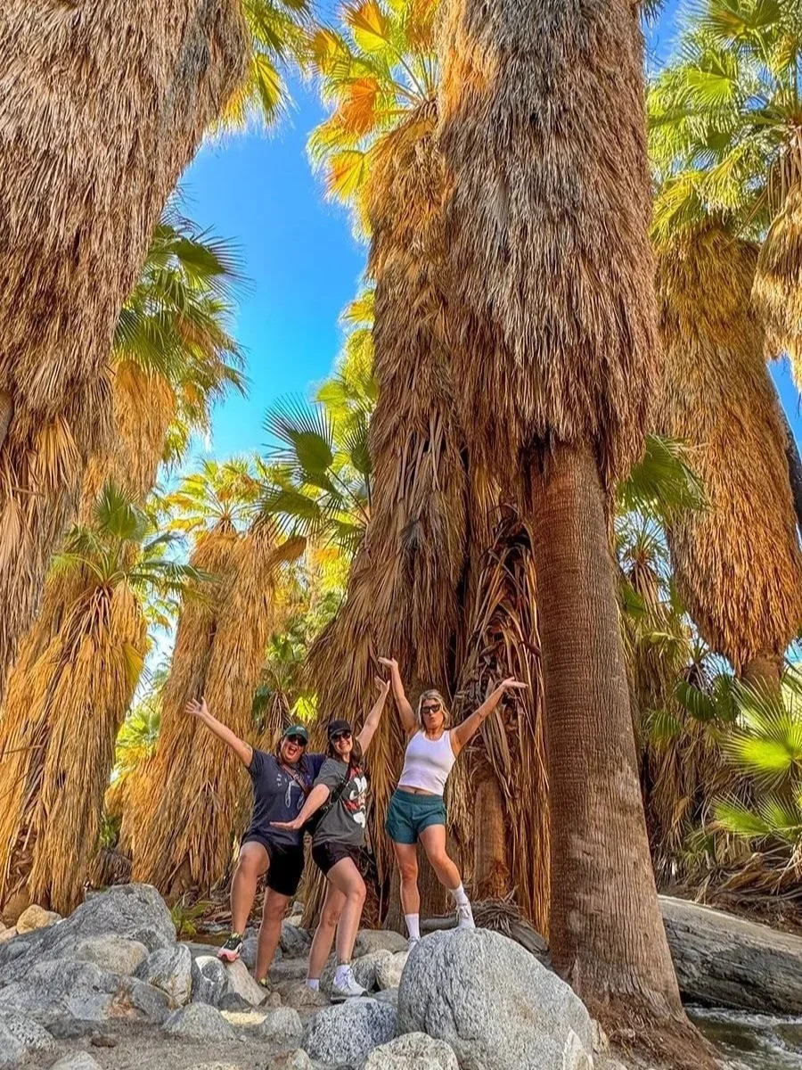 Three women standing on rocks among tall palm trees, enjoying a sunny day in a tropical environment.