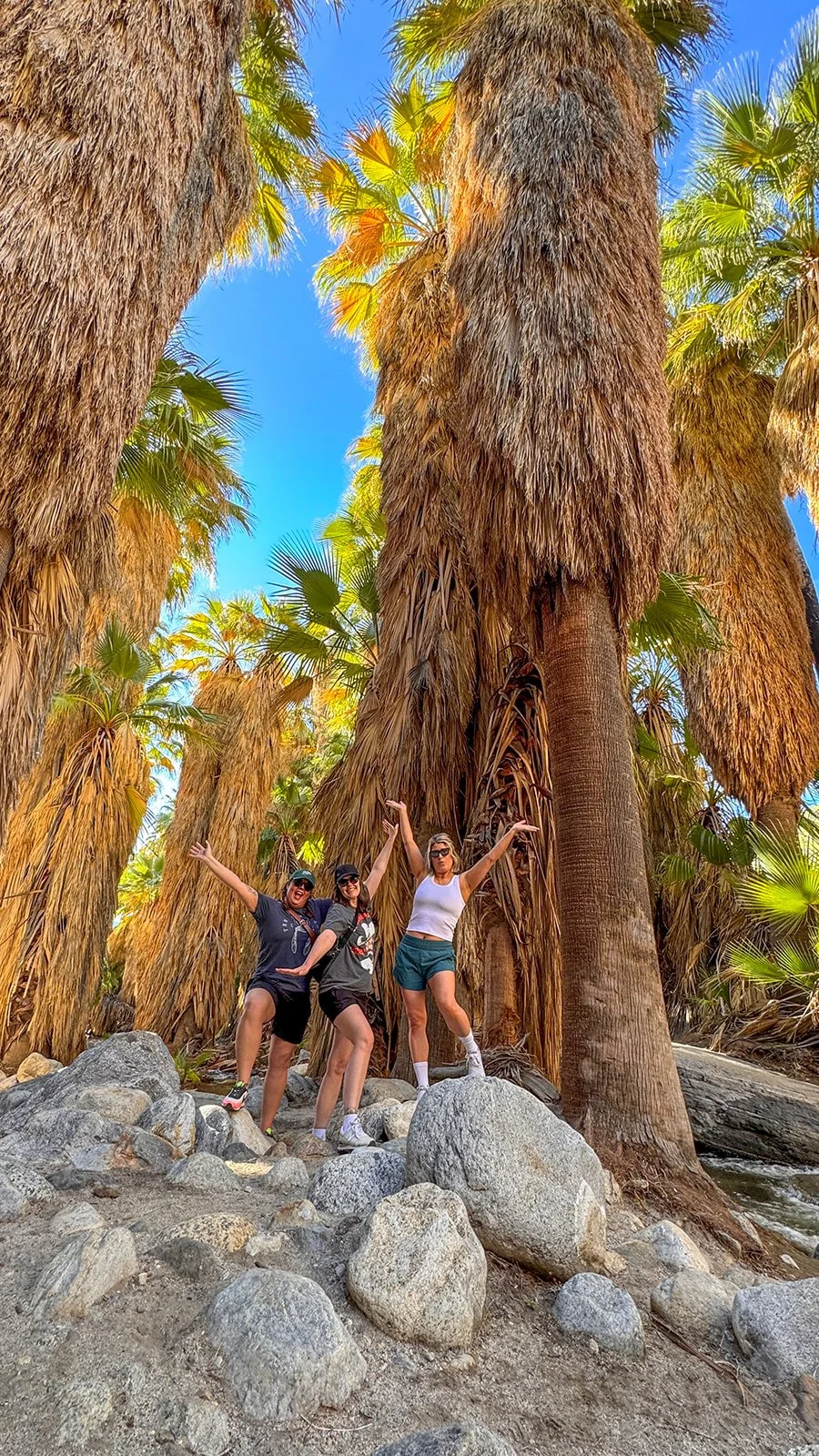 Three women standing on rocks in a forest of tall, brown palm trees with green leaves and a clear blue sky above.