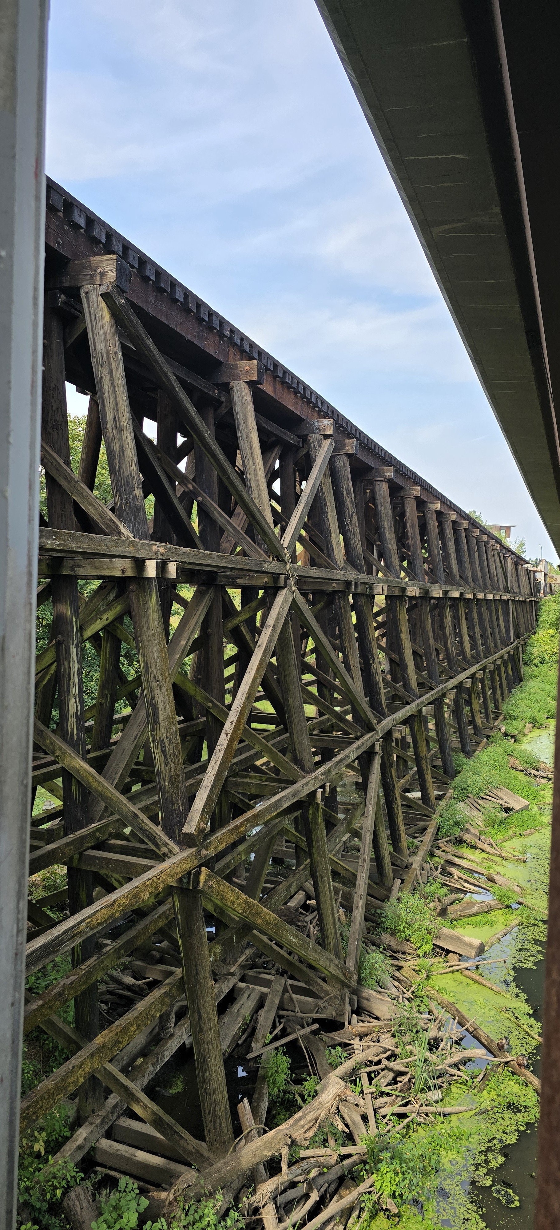 Organizational Sense-Making: For organizations losing emergence to synchronization pressure