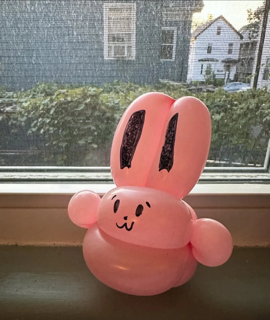🐇 Inspired by the iconic bunnies of Somerville (and cuter than our actual mascot 🐀 but maybe I&rsquo;ll give one of those a try next)

#balloontwisting #somervillema