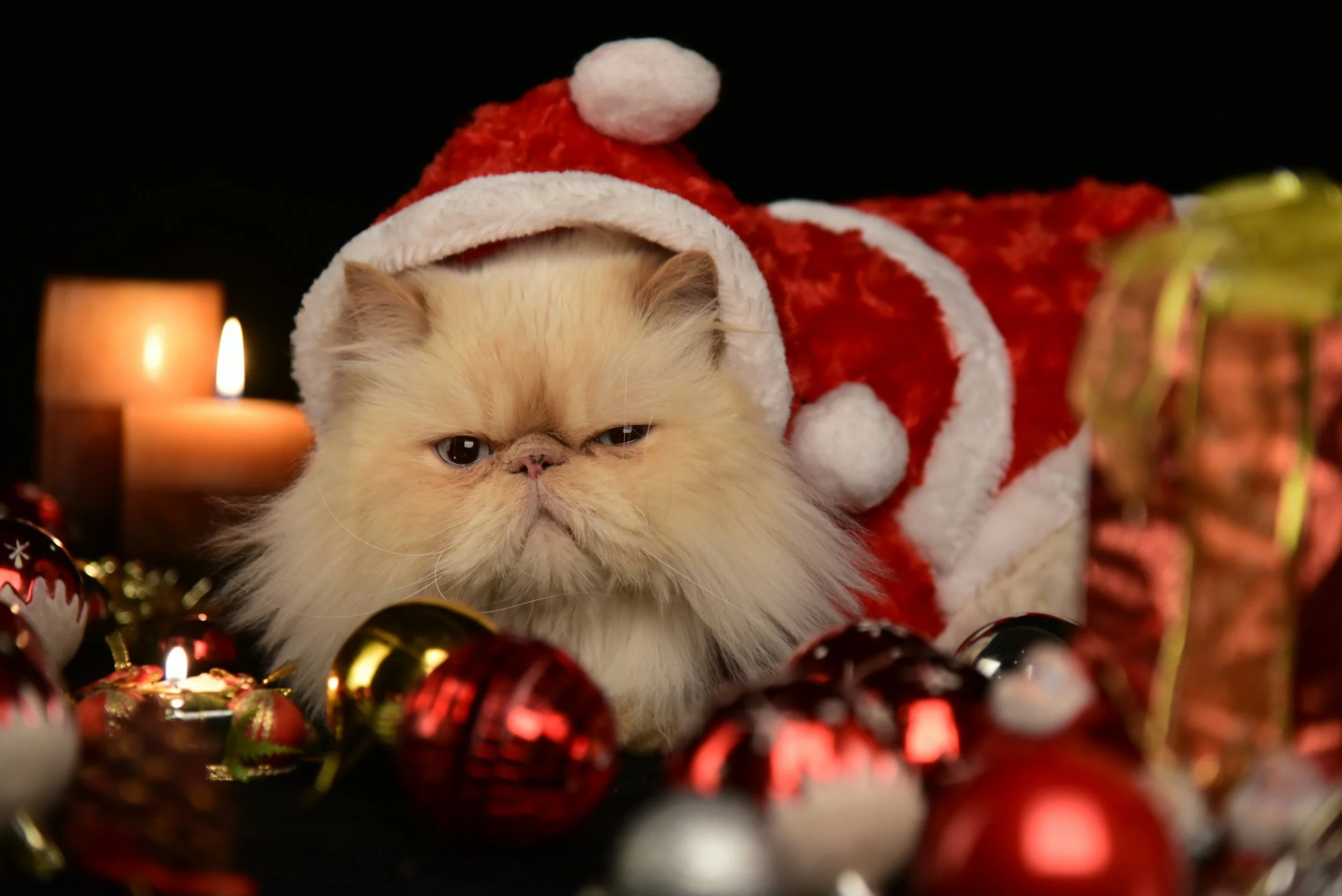 Stress, Organization &amp; Holidays