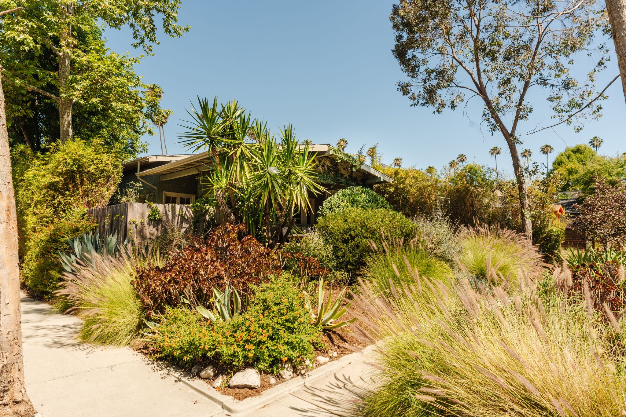 041.jpg