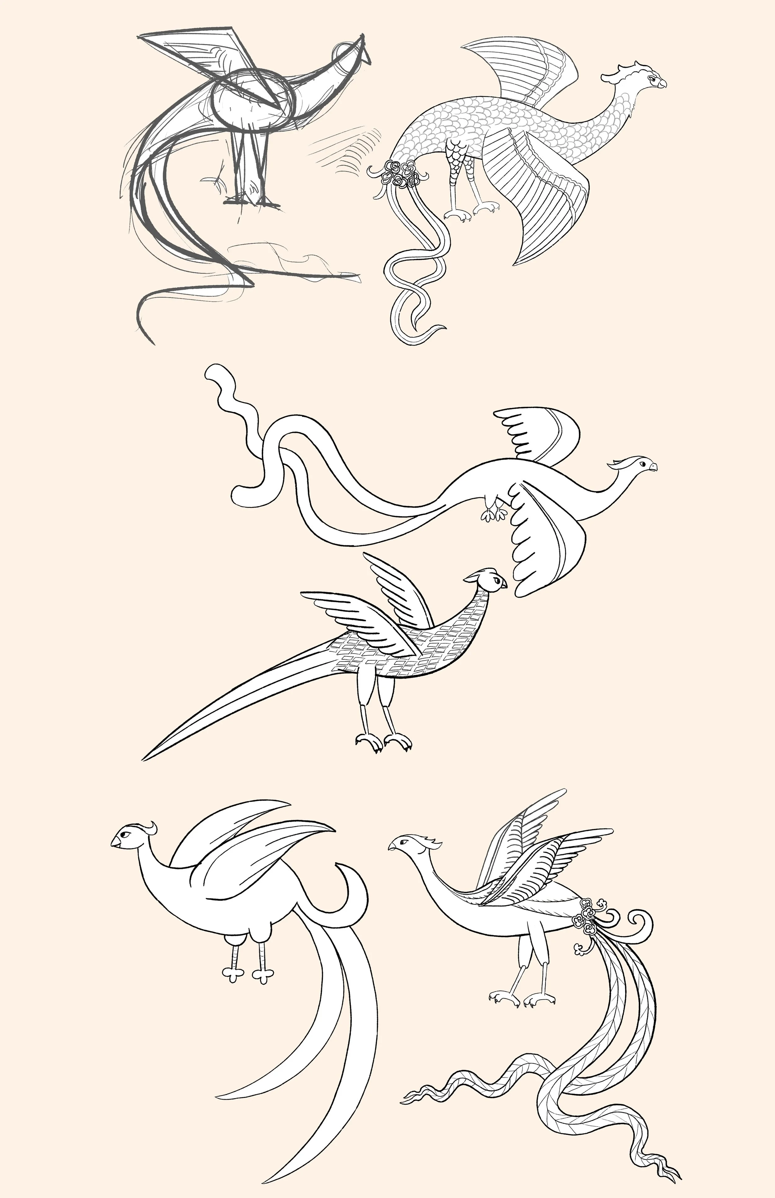 Character design explorations for Simorgh (Iranian Mythical Bird)
