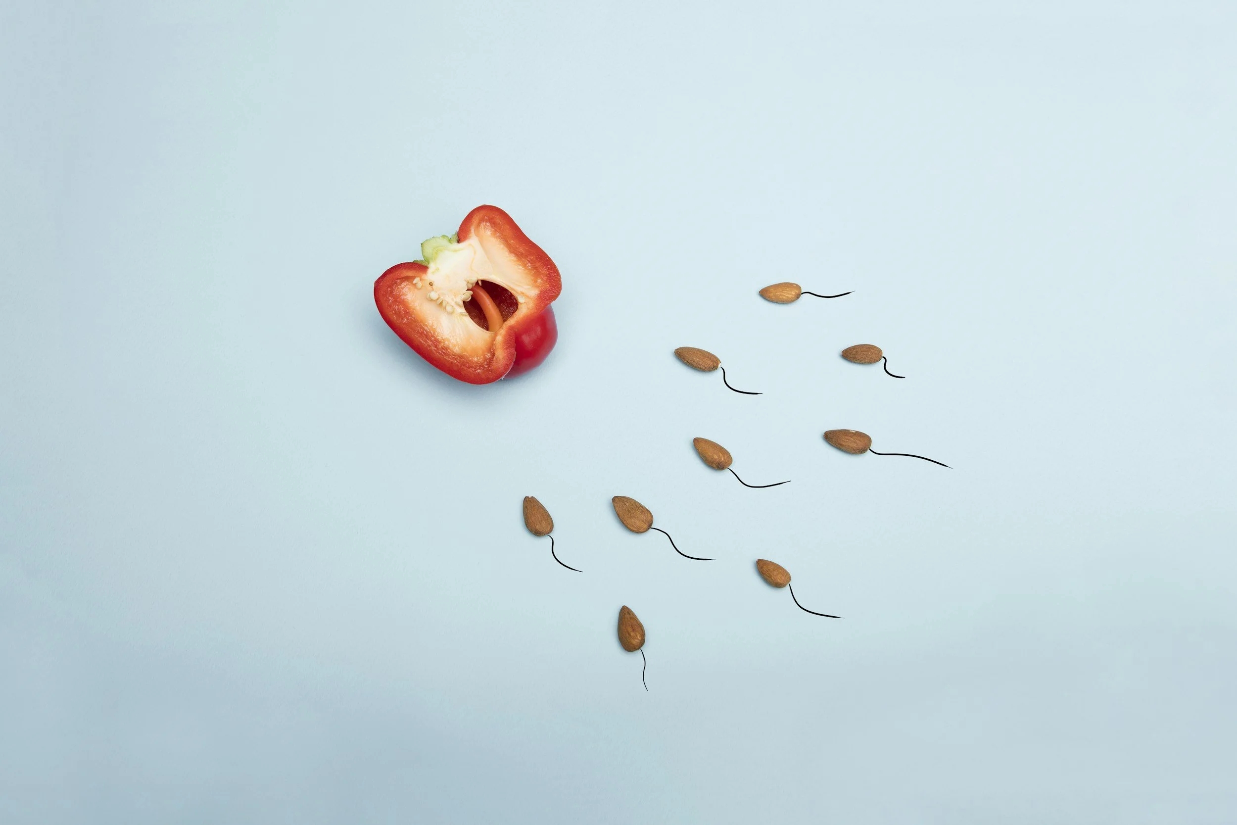 Let’s Talk Fertility