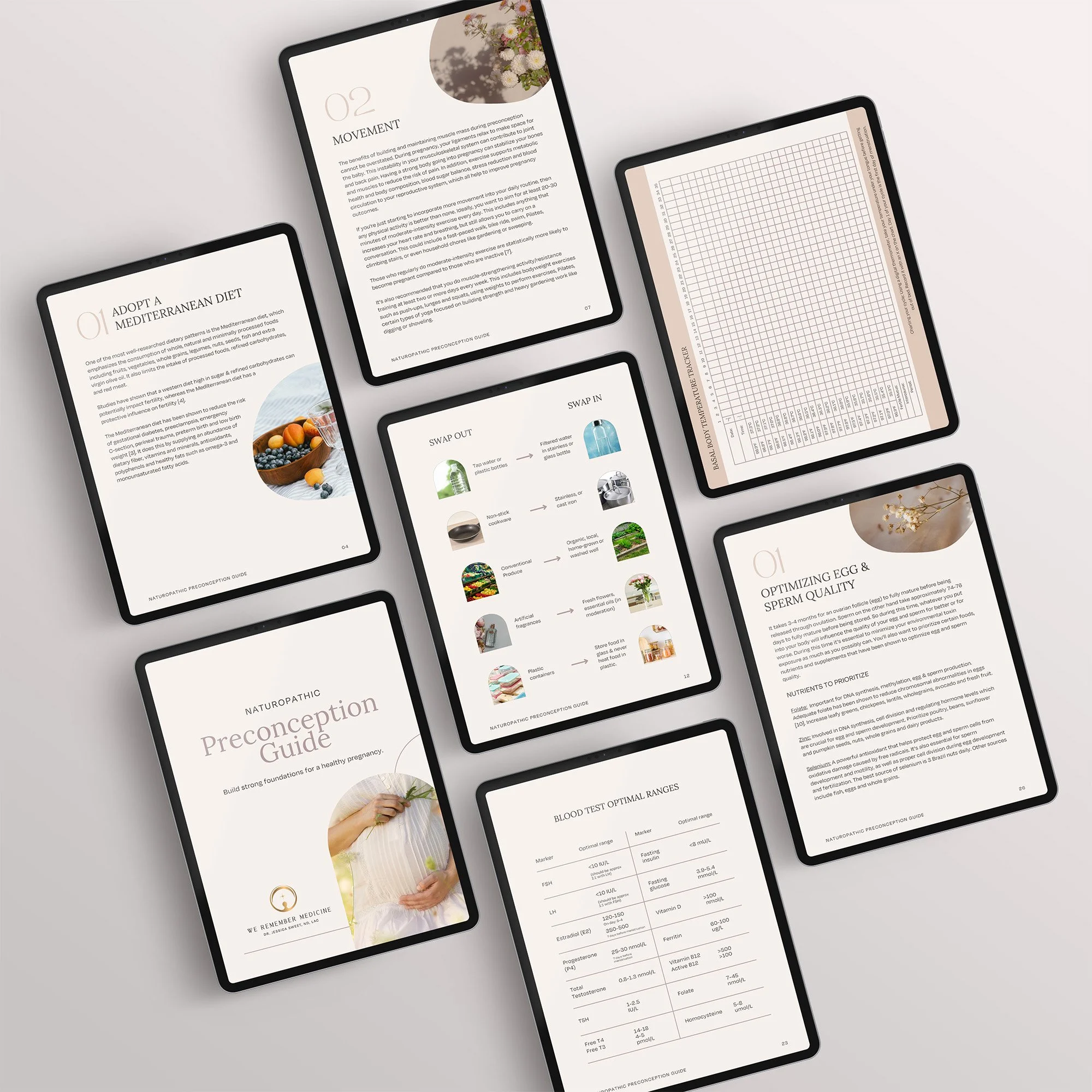 conception guide.jpg