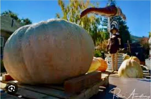 Pumpkinfest 2026 