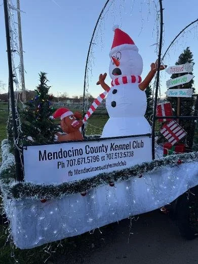 Ukiah Parade of Lights 