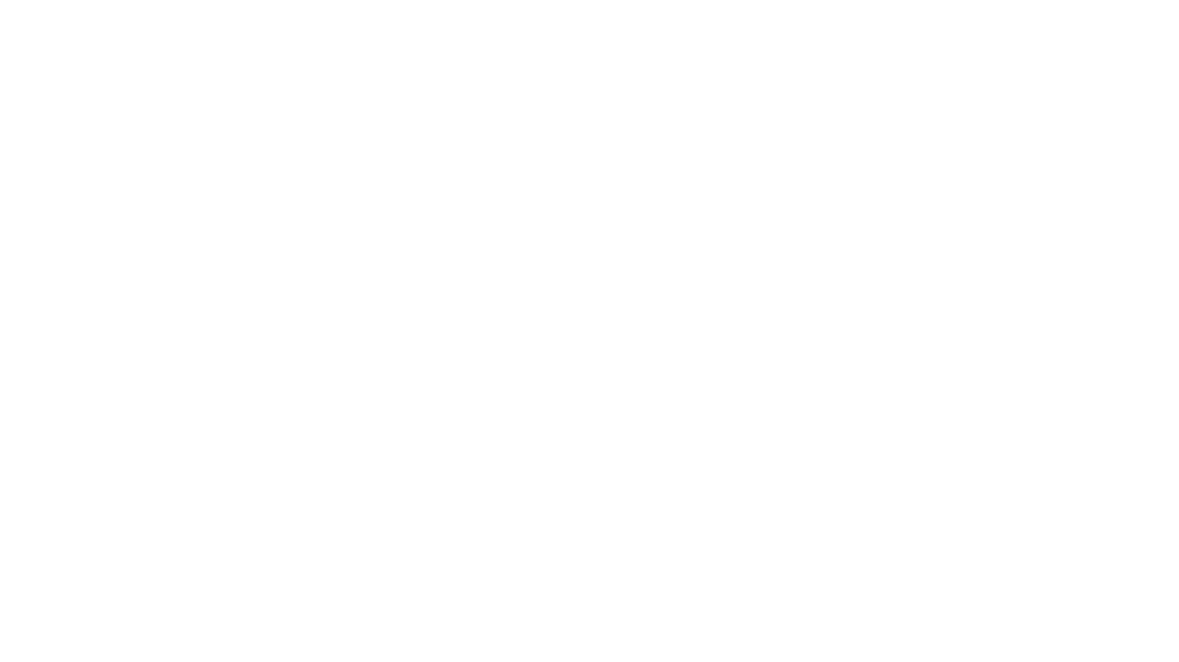 Clean Rep 