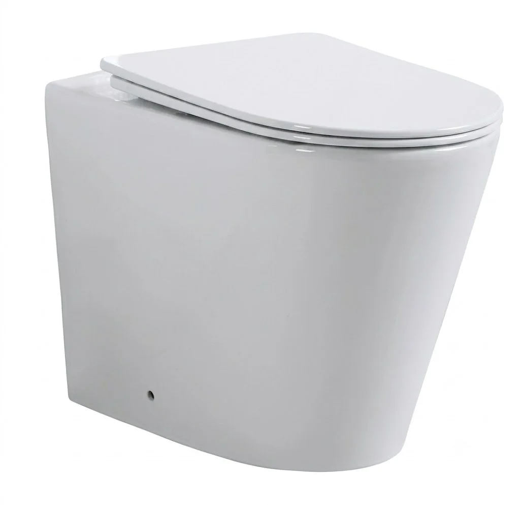 Palm Tornado Flush Wall Faced Pan & Seat
