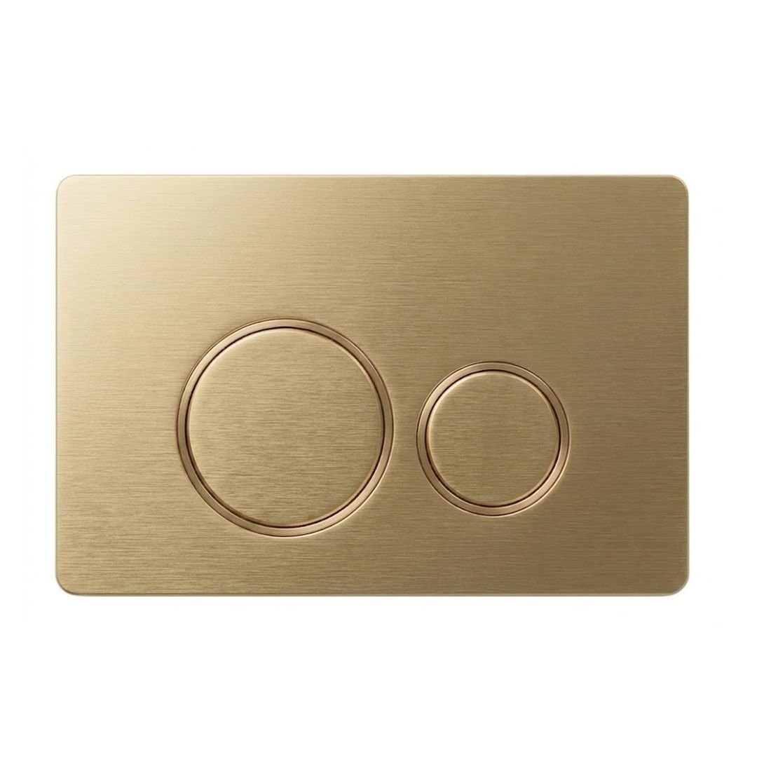 Palm Cistern Button - Brushed Brass