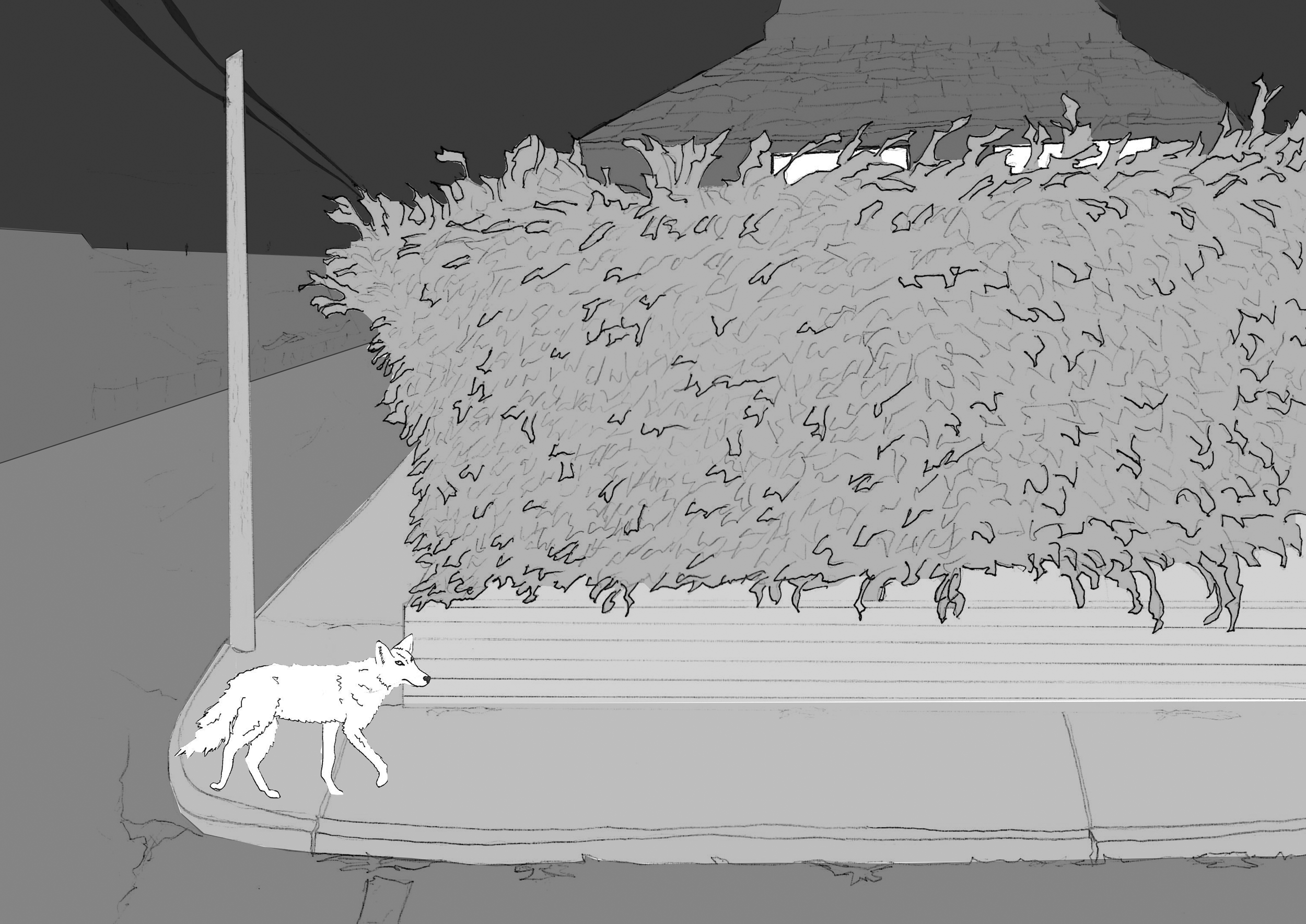 hedge.png