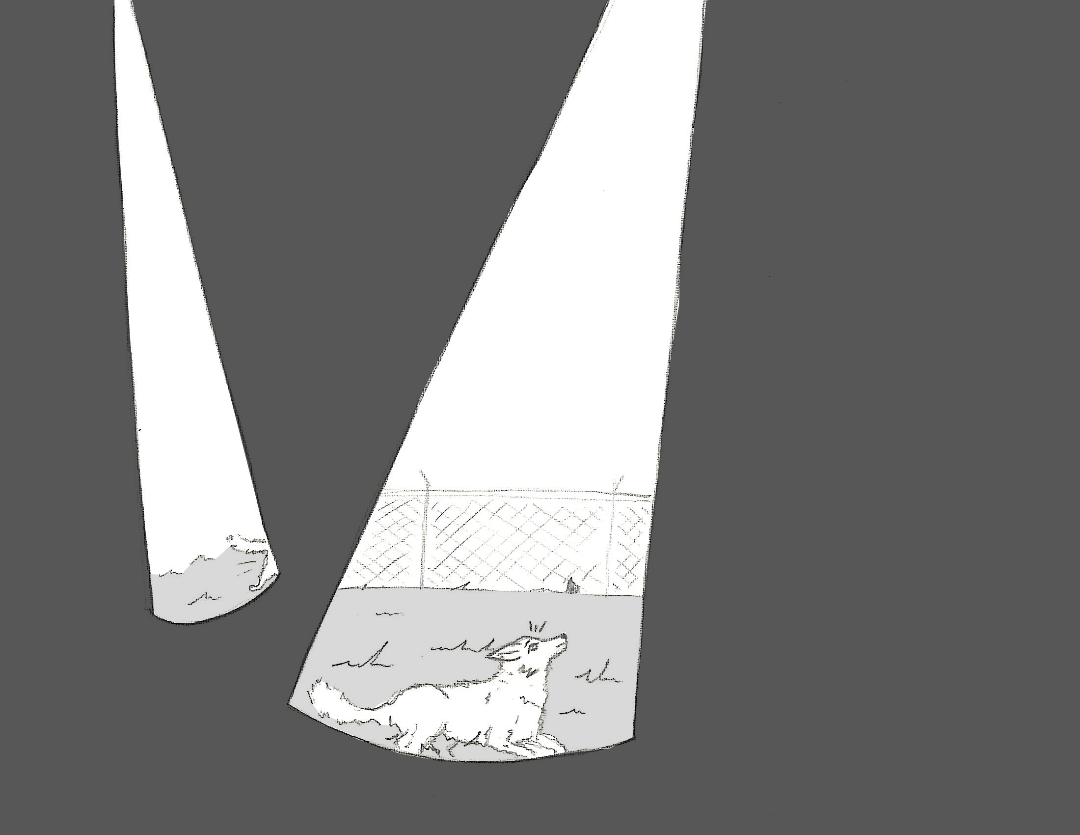 openingshot.png
