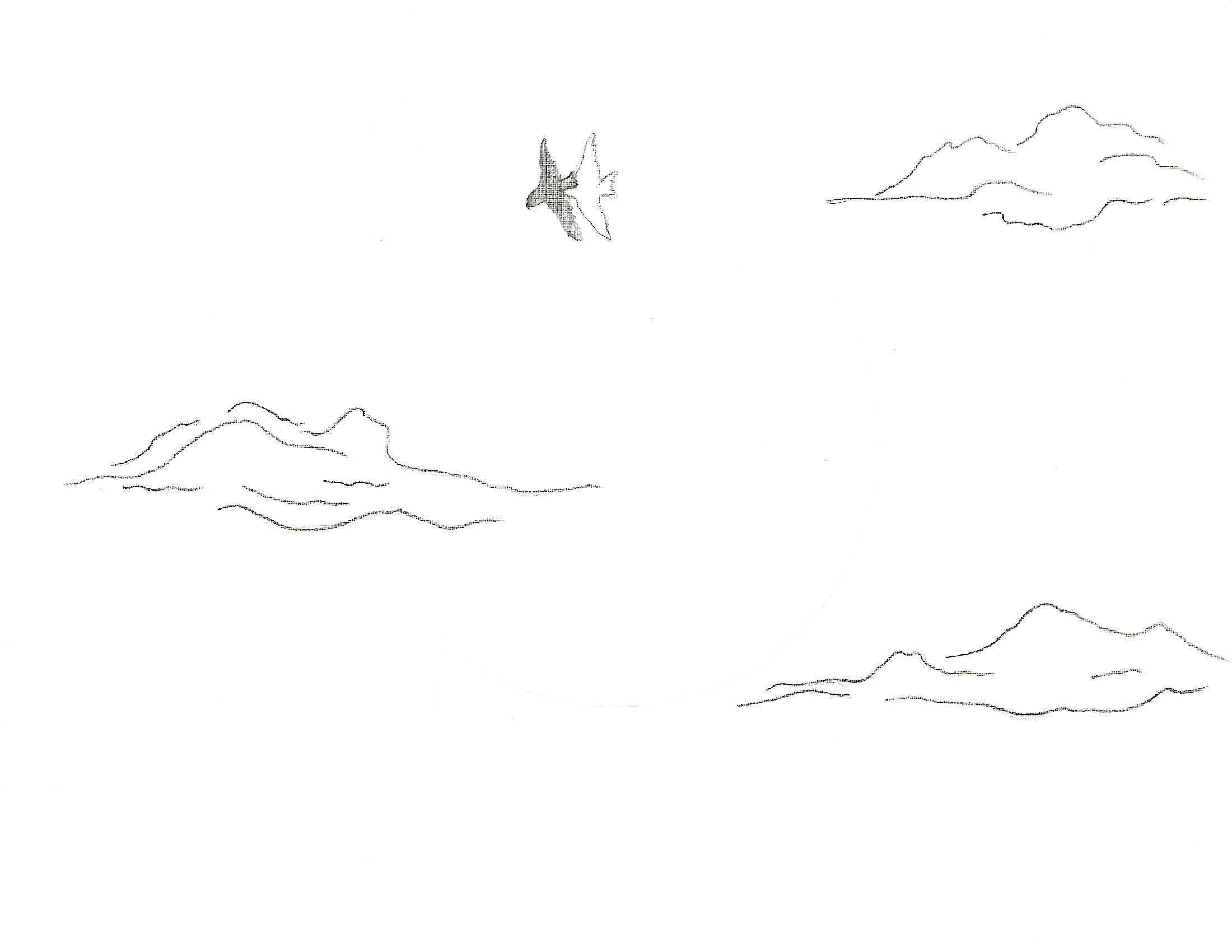 hawk_circling.png