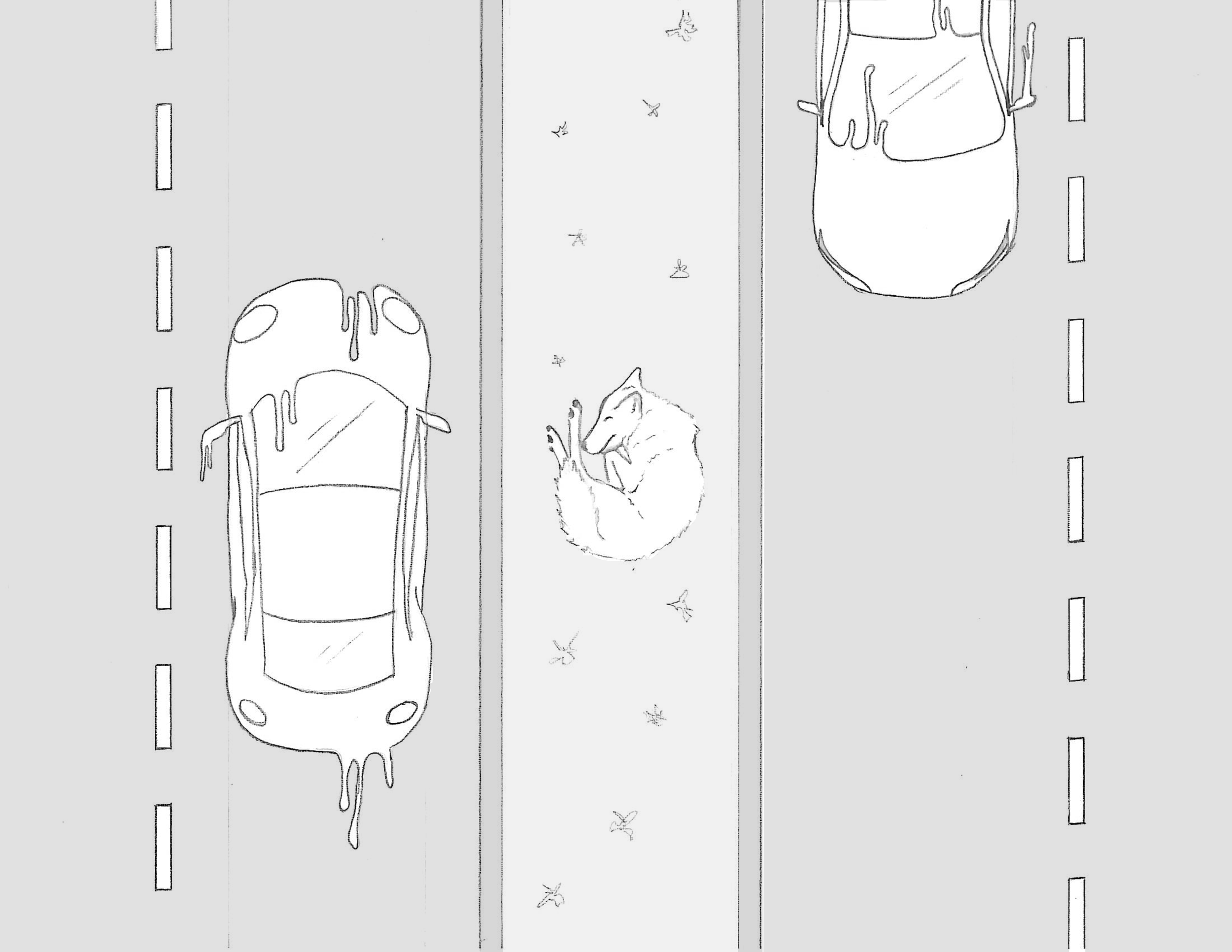 coyote_sleepinghighway.png