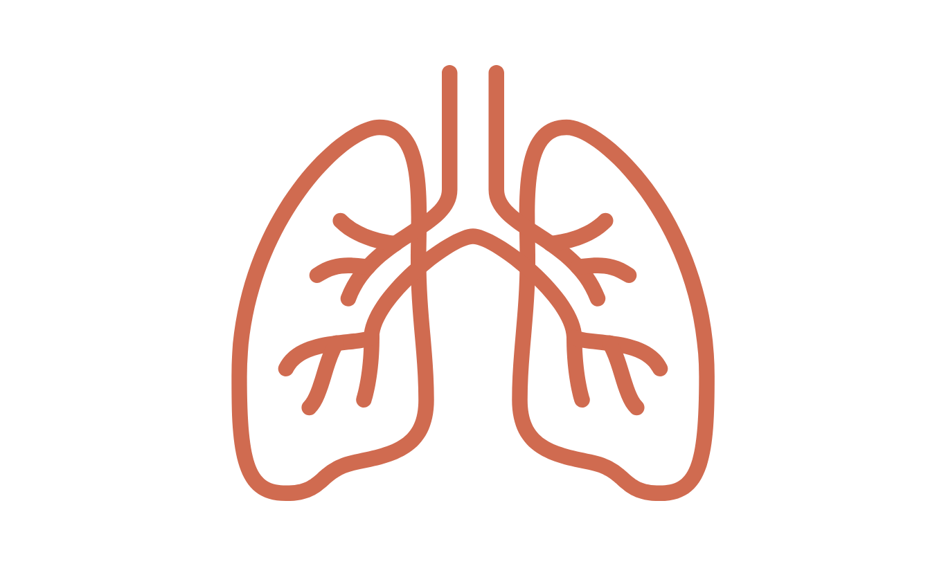 Illustration of human lungs with airways and bronchial tubes in brown on black background.