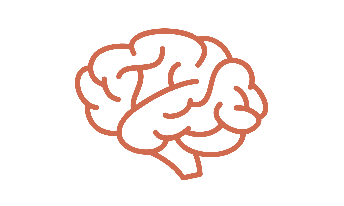 Outline drawing of a human brain in light brown color.