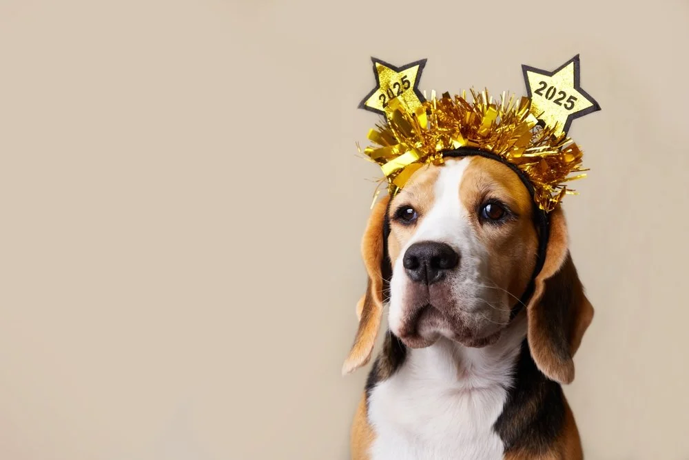 The Most Popular Dog Names of 2025 and What They Say About Pet Parents