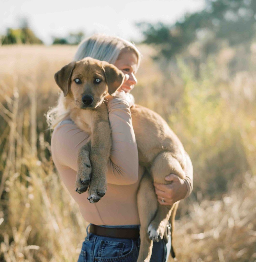 paiges pet care pet sitter paige