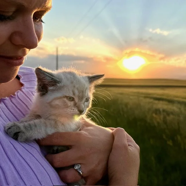A woman holding a kitten in her arms outdoors during sunset, with open fields and a partly cloudy sky in the background.