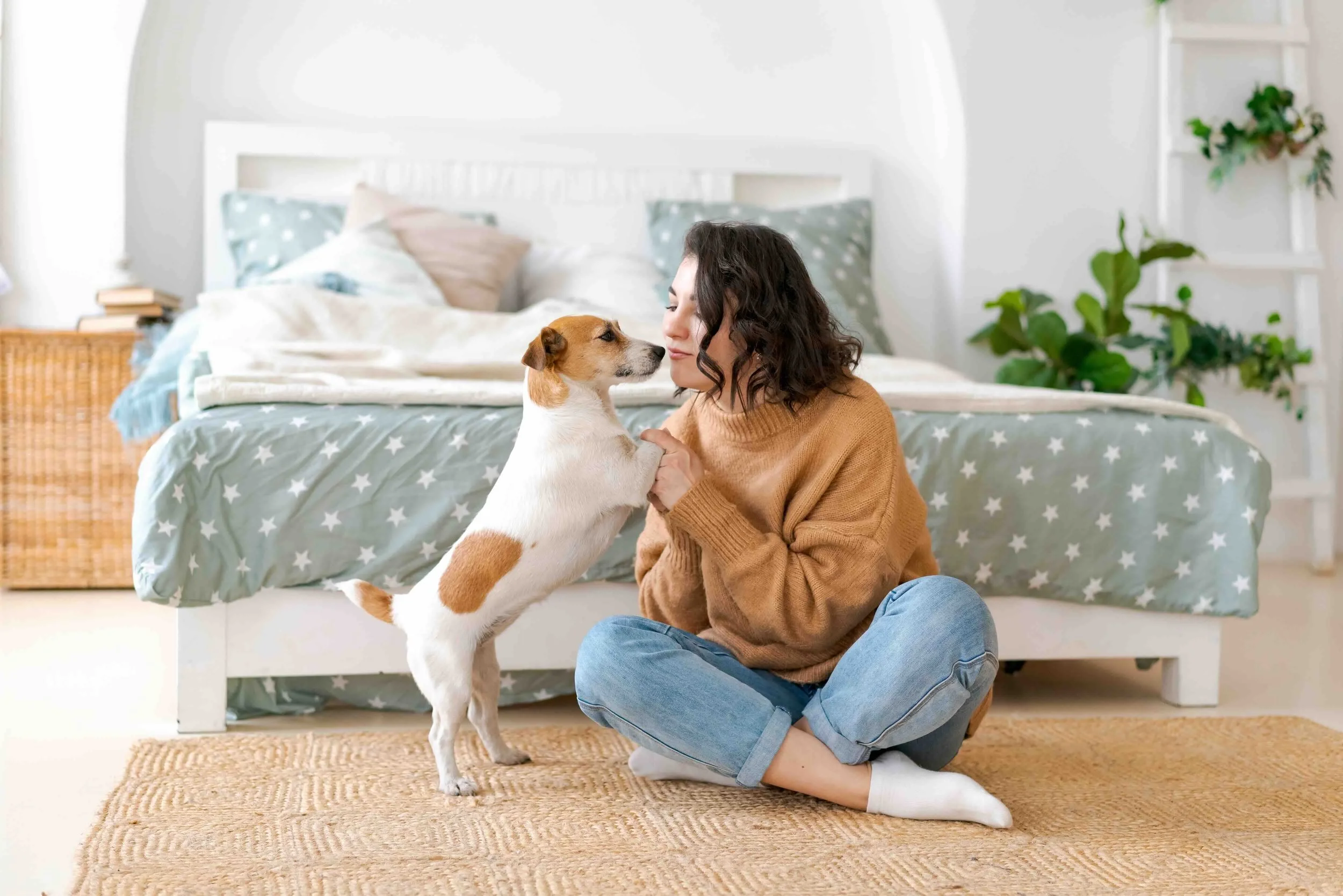 Woman sitting cross-legged on a beige rug, facing a small dog that is standing on its hind legs, touching her hands, in a bedroom with a bed and green plants in the background.