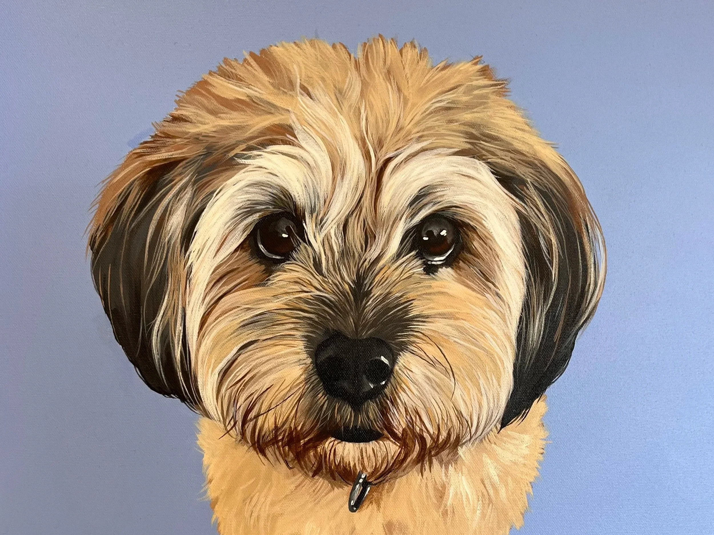 A painting of a small, fluffy dog with tan and black fur, looking directly at the camera against a light blue background.