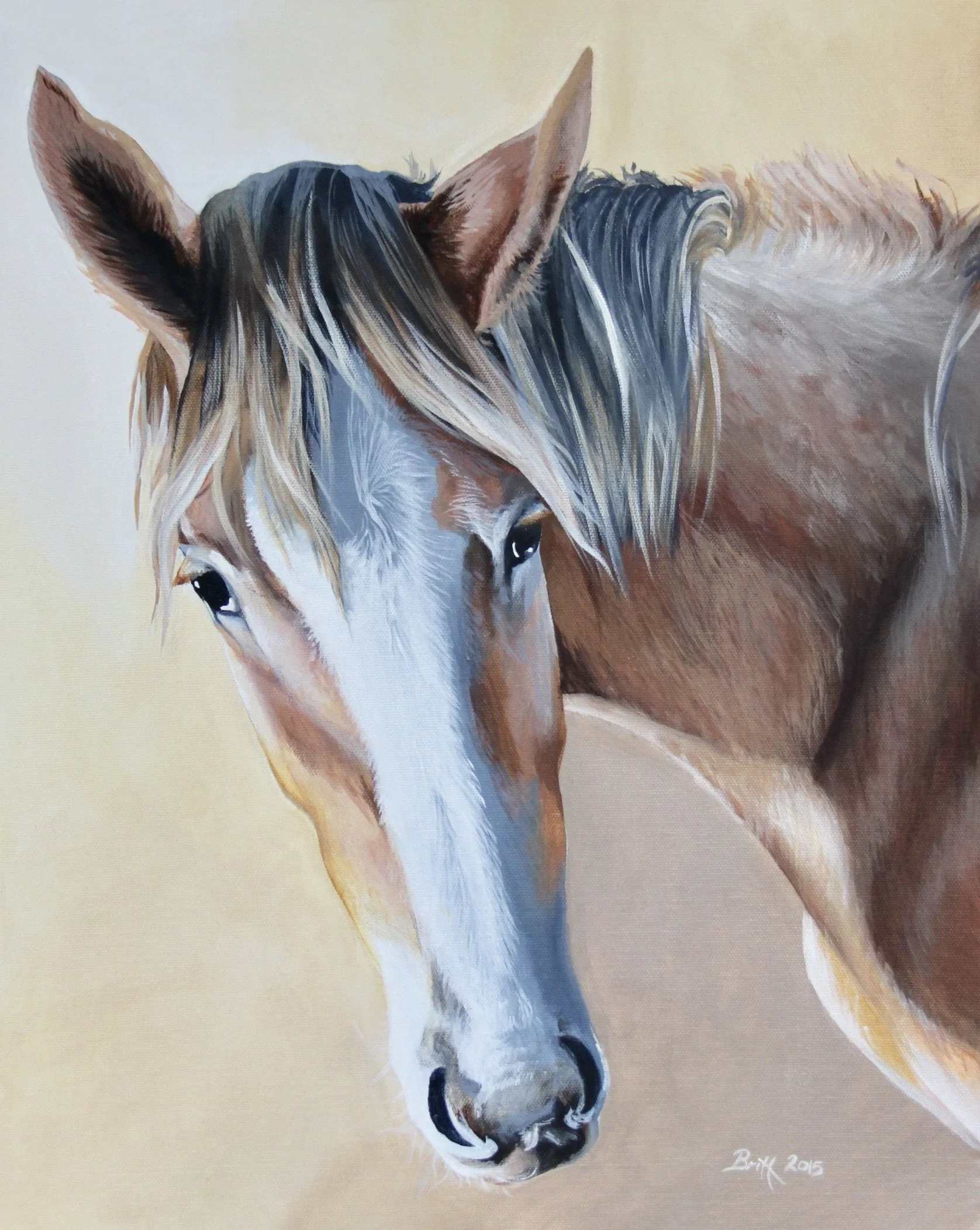 Portrait of a brown and white horse with a flowing mane, facing forward.