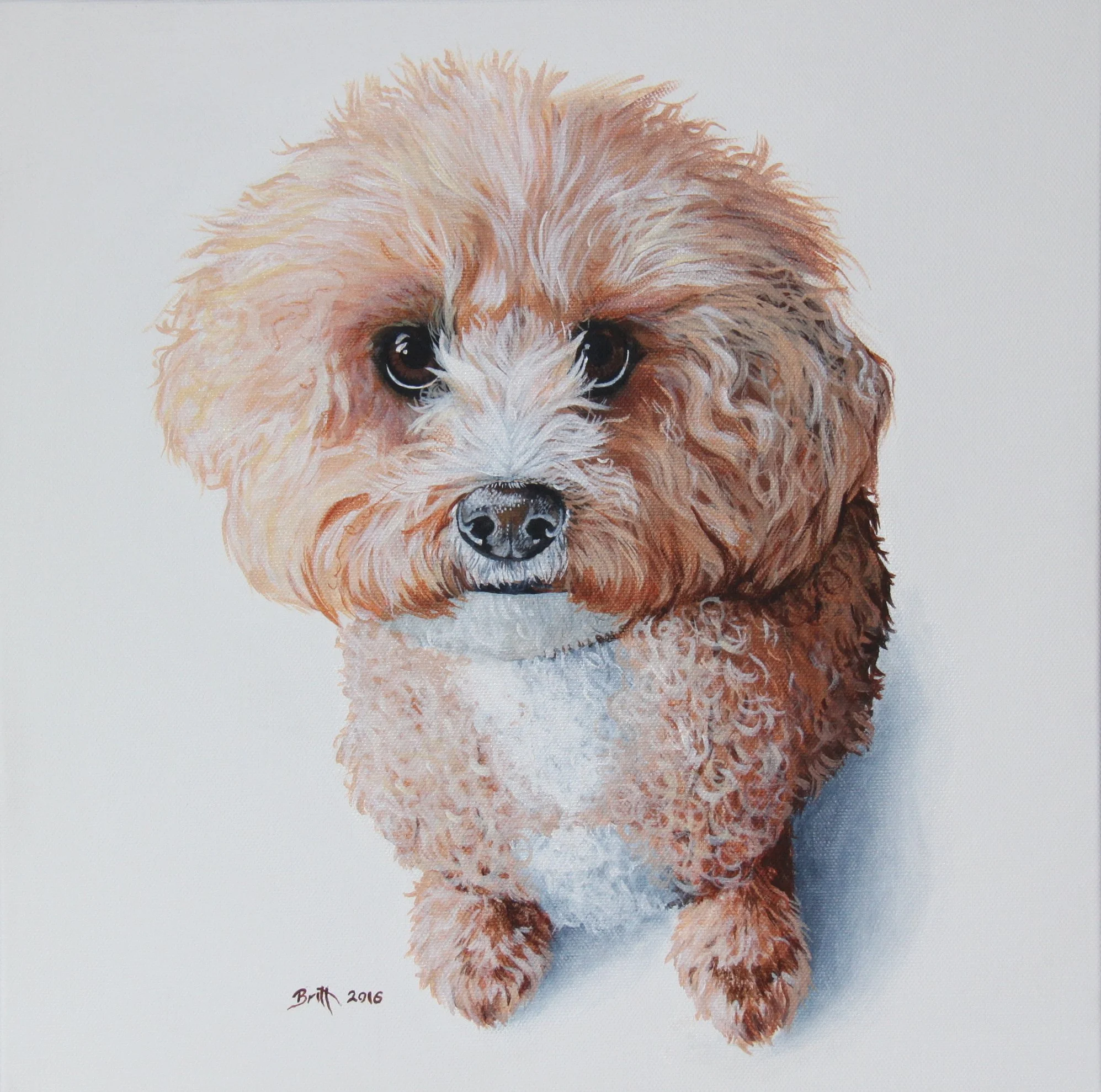 A realistic painting of a small, fluffy, light brown dog with big, dark eyes and a black nose, sitting against a plain white background.