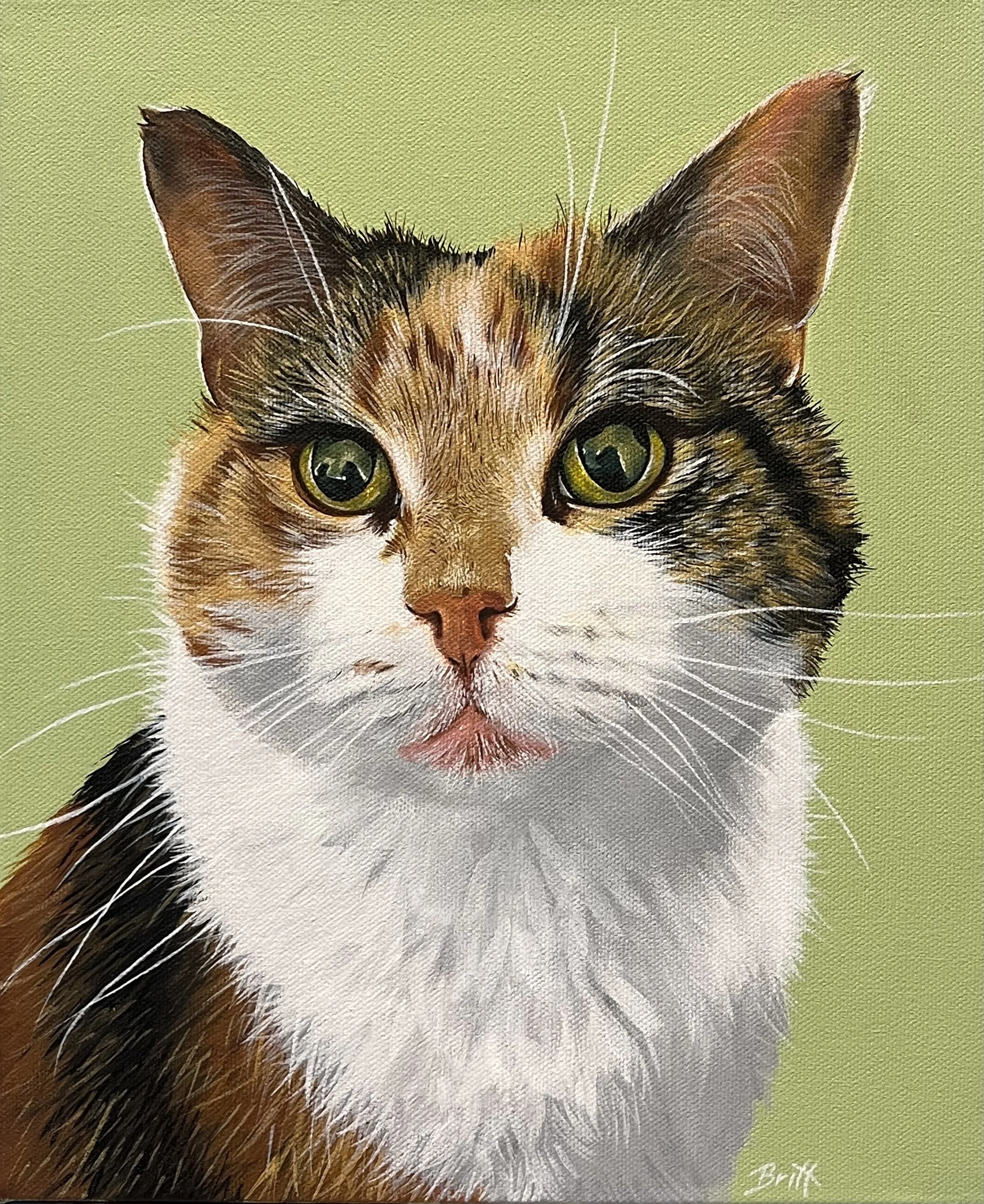 Close-up of a calico cat with green eyes on a light green background.