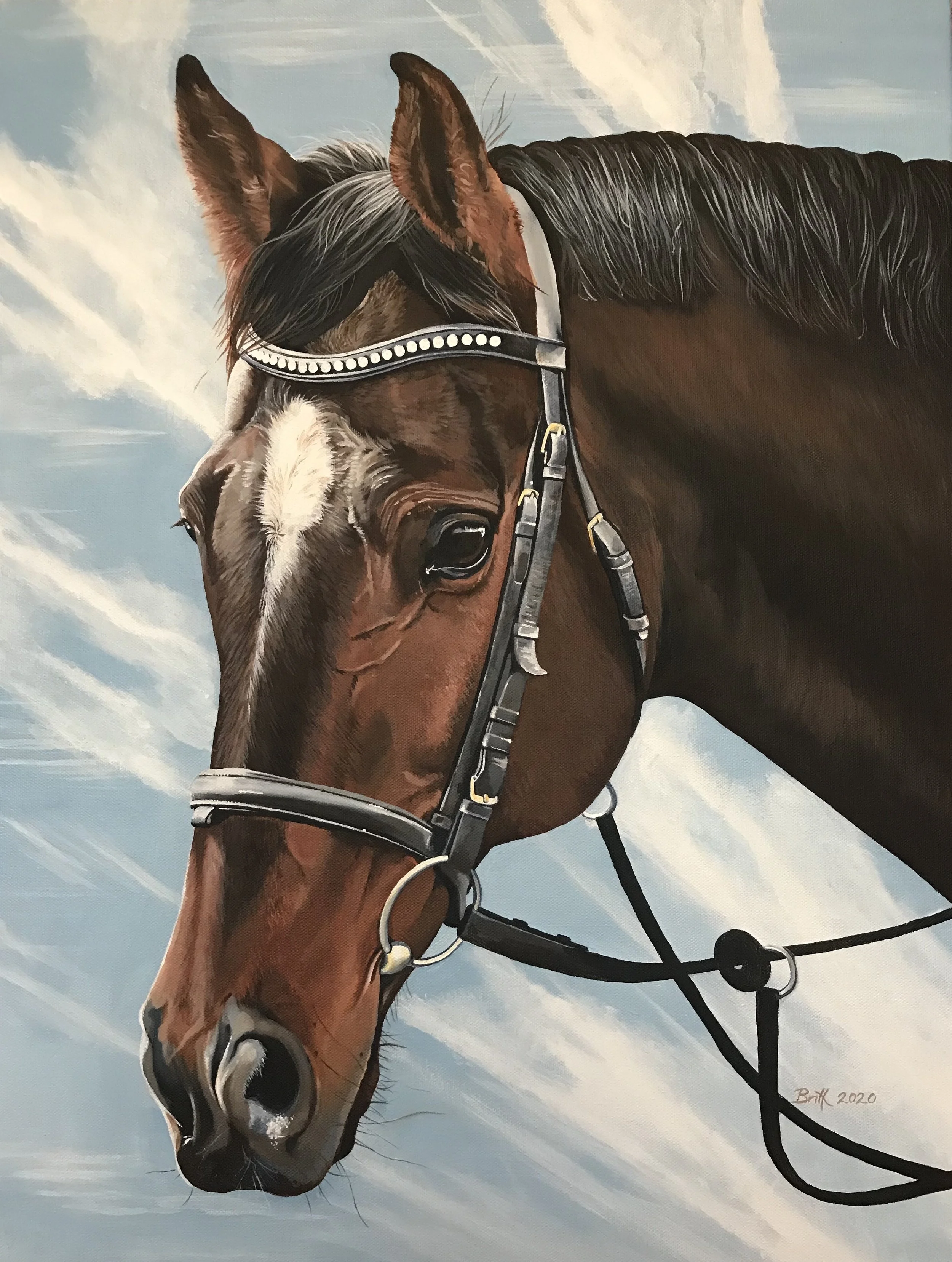 Close-up of a horse's head with a dark mane, wearing a bridle, against a cloudy sky background.