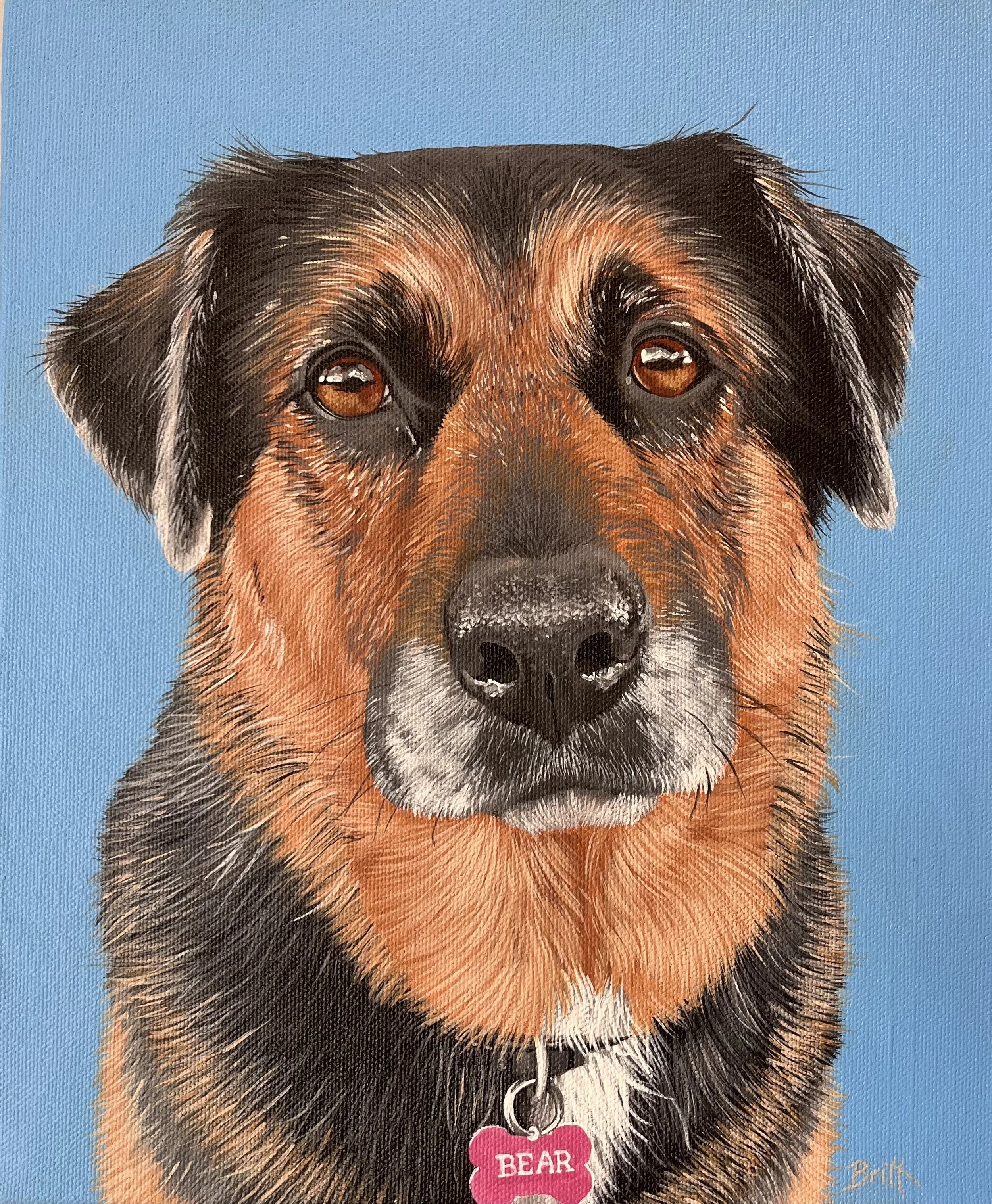Painting of a dog's face with brown eyes, black and brown fur, and a pink tag that says "BEAR". Blue background.