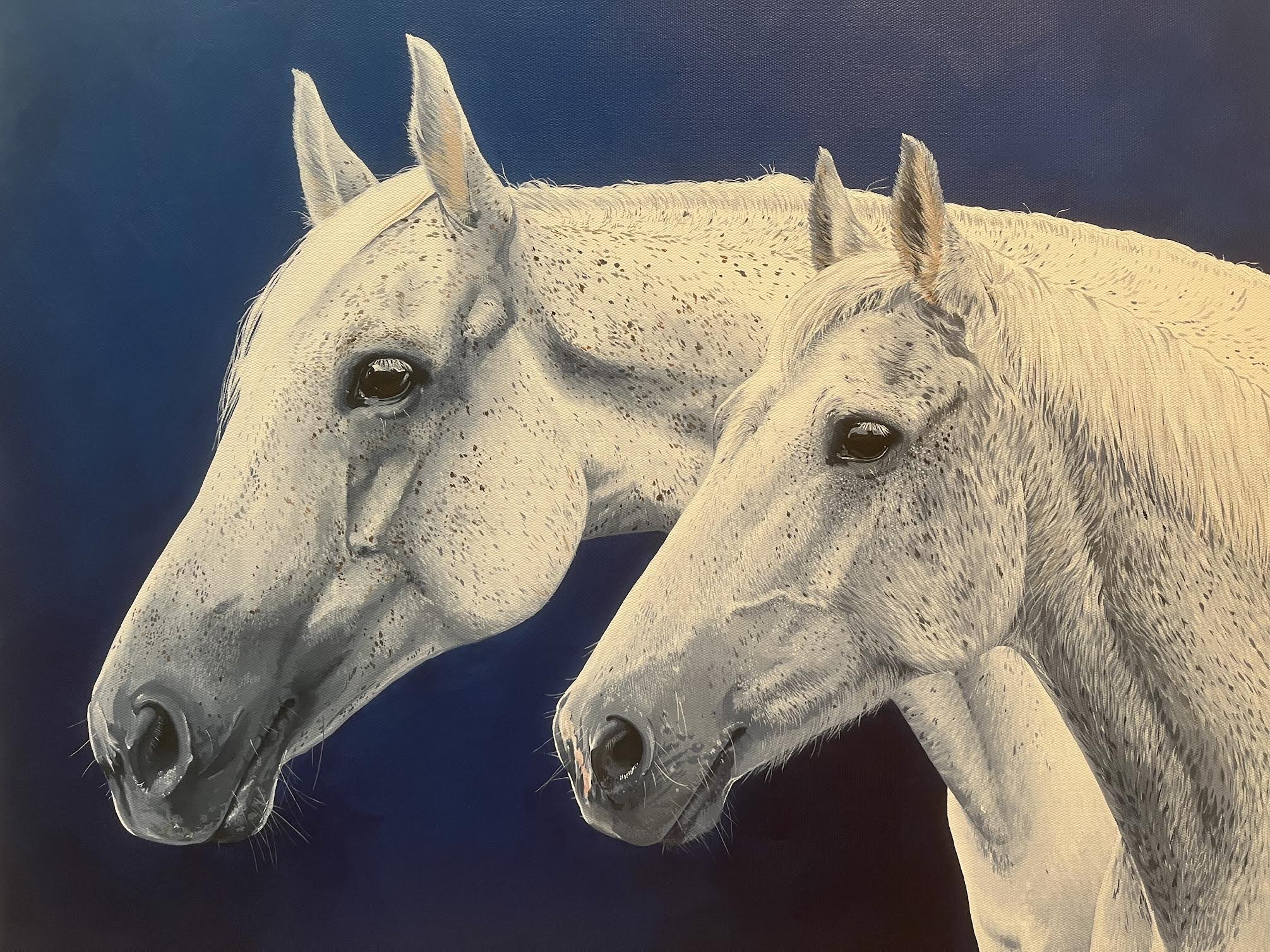 Painting of two white horses with detailed faces at the side, set against a dark background.