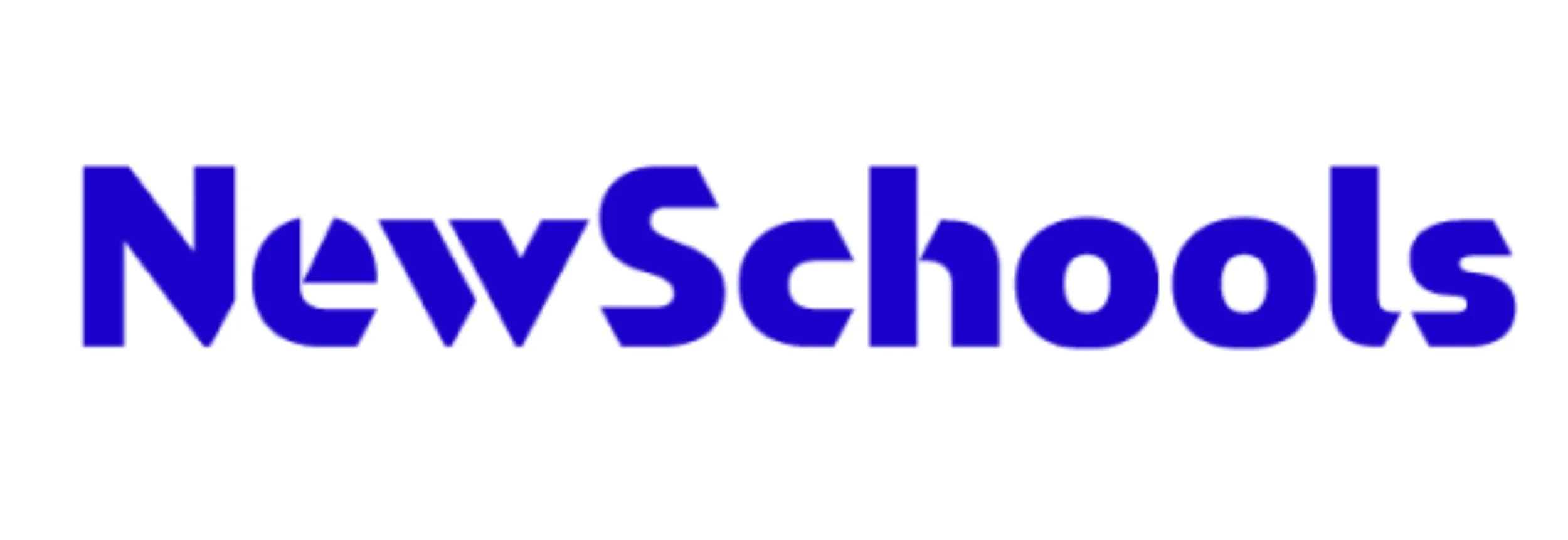 The logo for NewSchools, featuring the word 'NewSchools' in bold blue text.