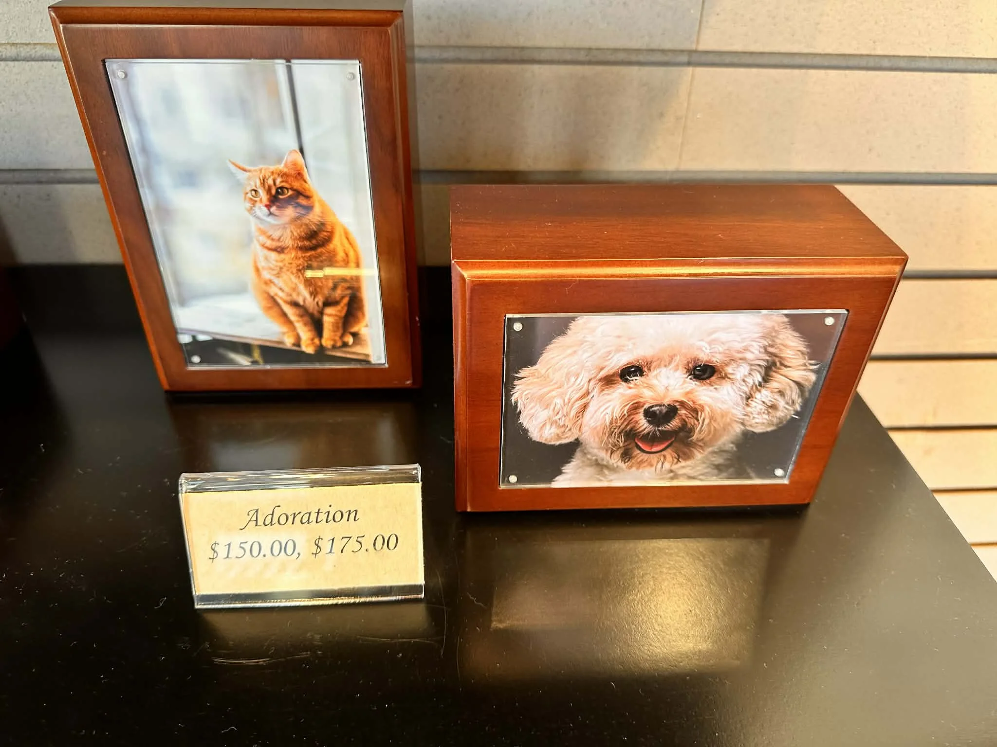 Two framed photos of dogs on a black display table, with a card in front showing prices of $150.00 and $175.00 for a photo. The left frame contains a photo of an orange tabby cat, and the right frame contains a photo of a fluffy white dog.