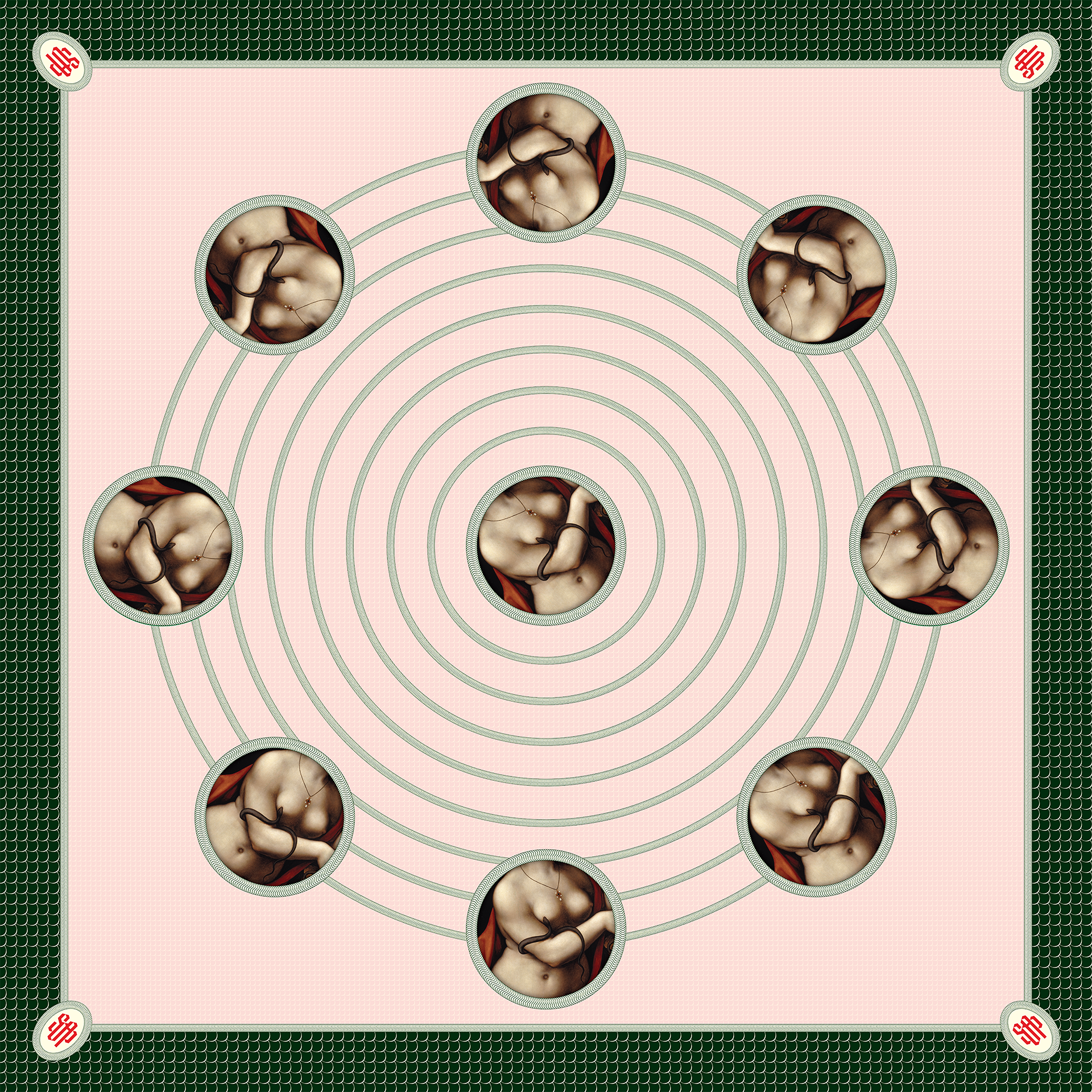 SOAP_Scaf_SS2026_SoftUnderbelly_Full.png