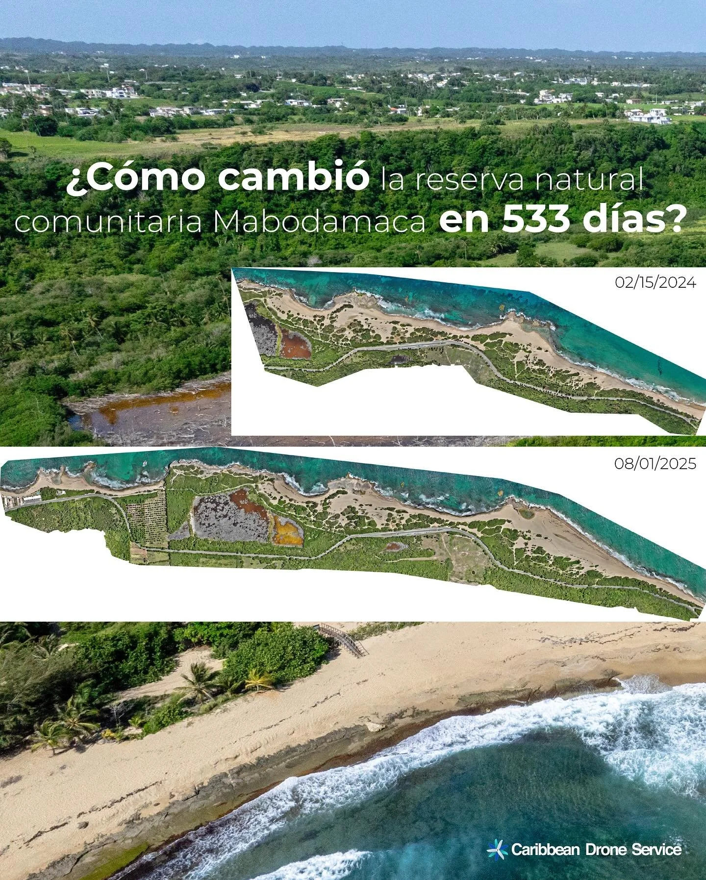 &iquest;C&oacute;mo cambia una costa en 533 d&iacute;as? 🌿🌊

La Reserva Natural Comunitaria Mabodamaca, en Isabela, muestra signos claros de restauraci&oacute;n:

📈 Crecimiento de dunas
🌱 Siembra y expansi&oacute;n de mangles
🐢 Zonas de anidaje 