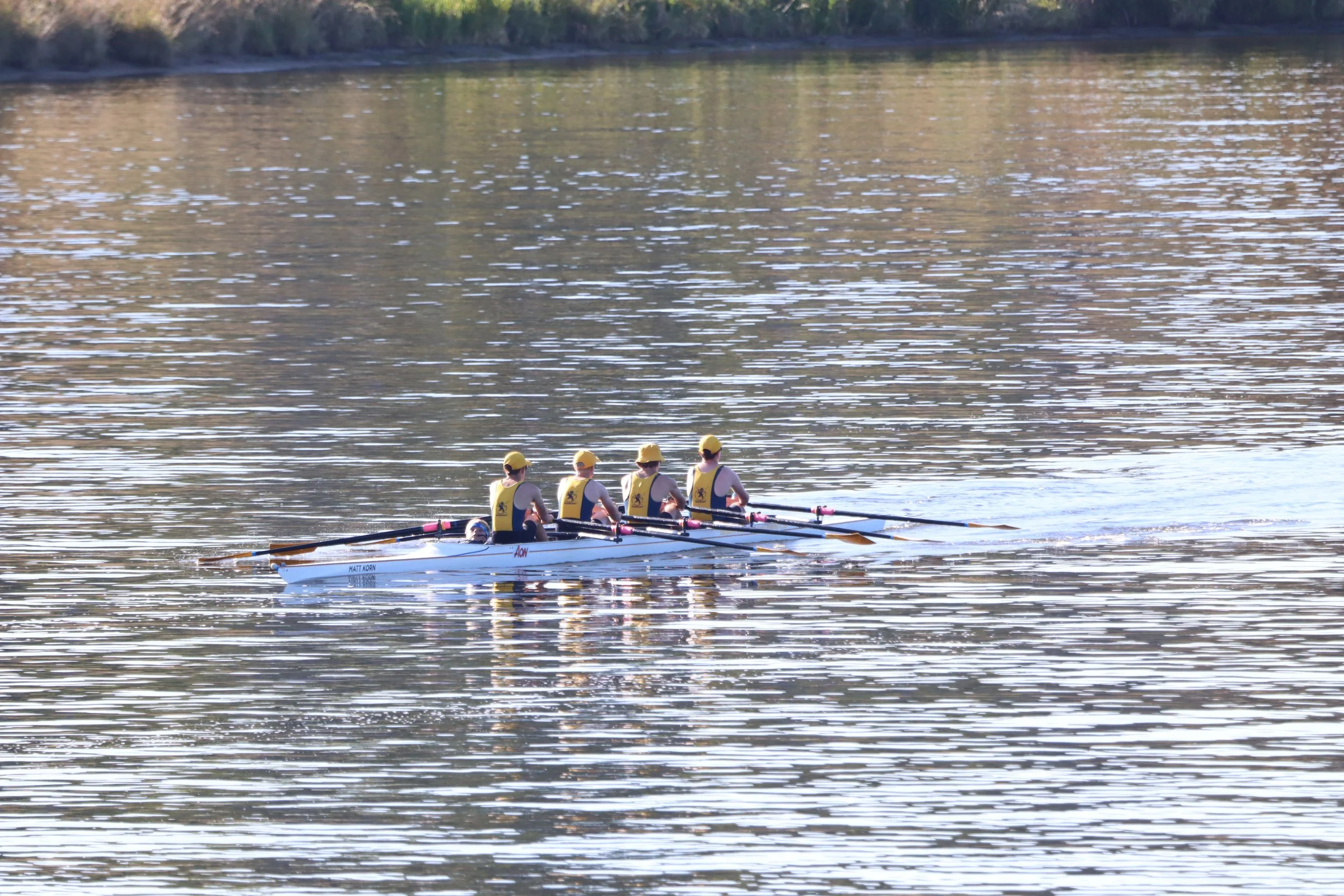 Four rowers in a racing shell on a calm body of water during daytime, with trees in the background.