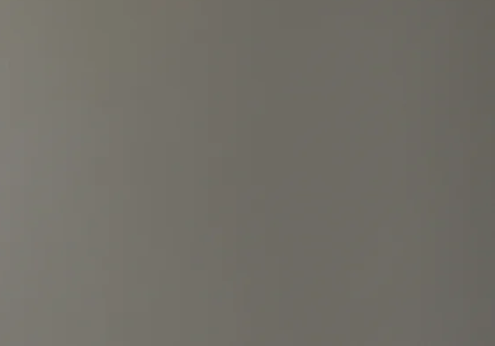 Gray textured background with no specific objects or features.