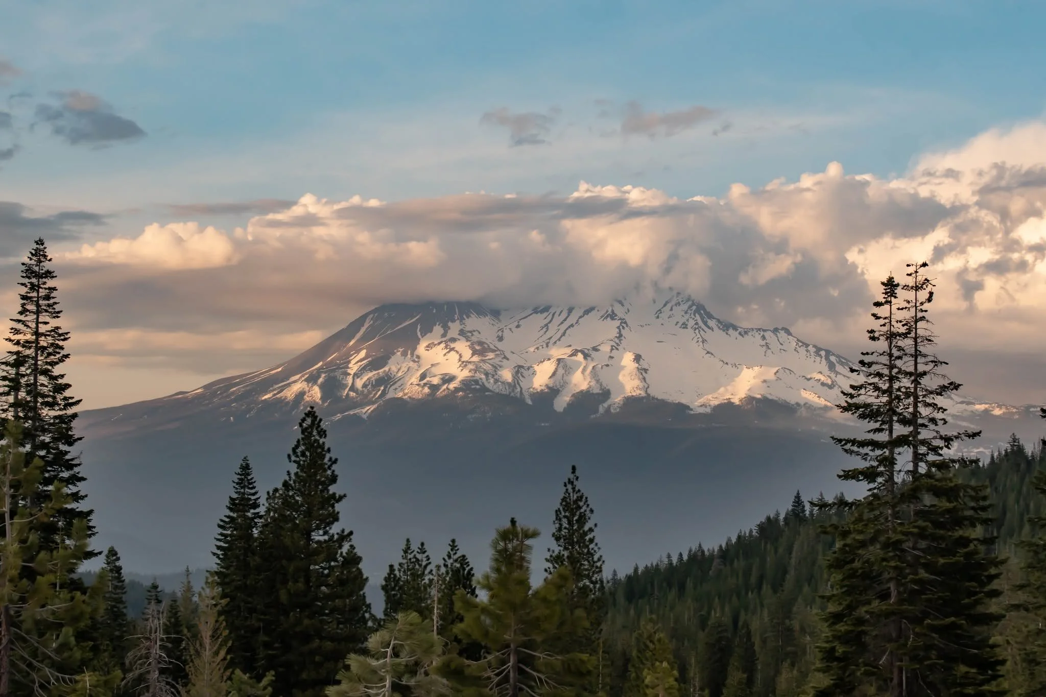 Snow-covered Mount Shasta framed by pine trees and spring clouds in Northern California.
