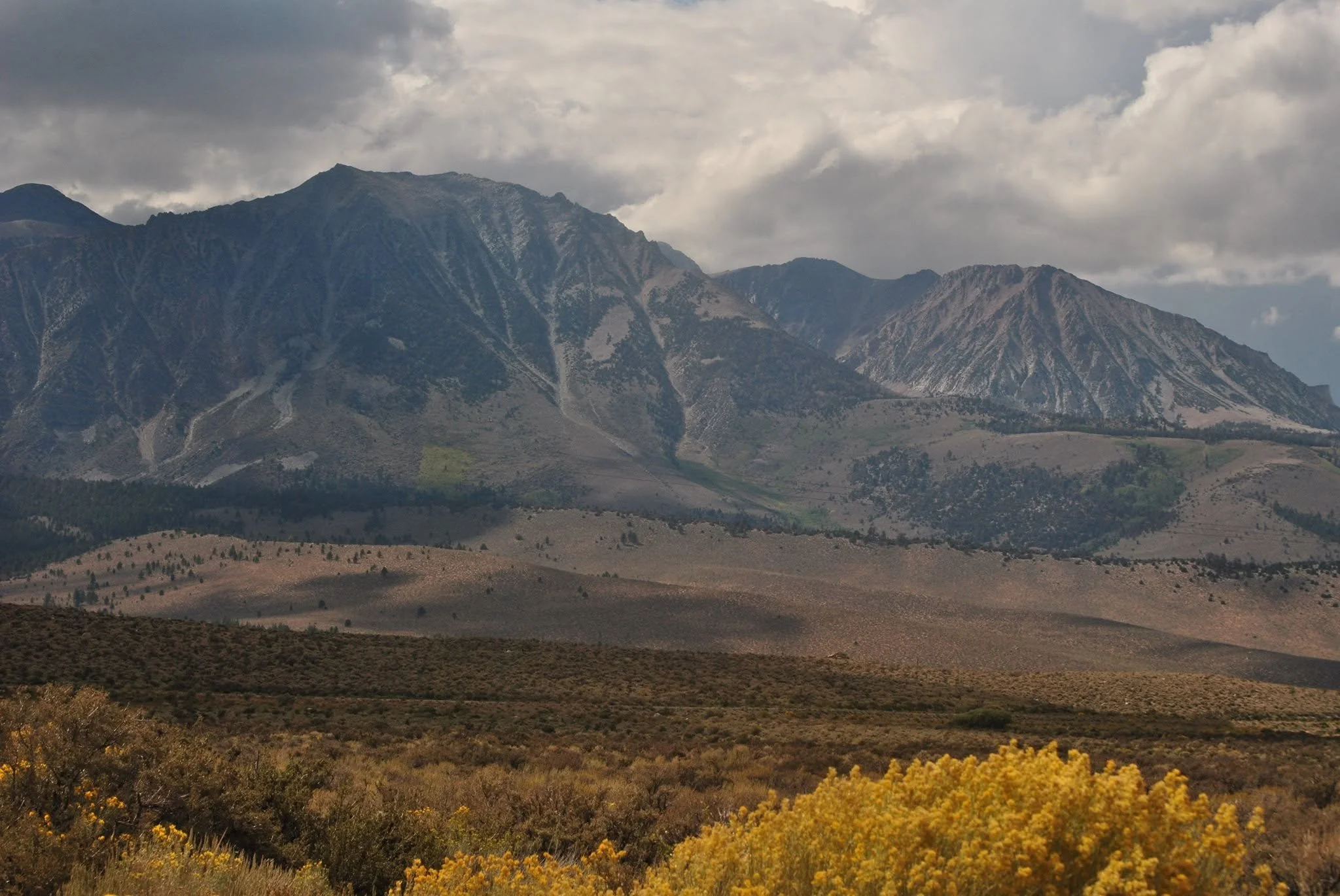 Eastern Sierra mountains rising above golden fall colors beneath a cloudy California sky.