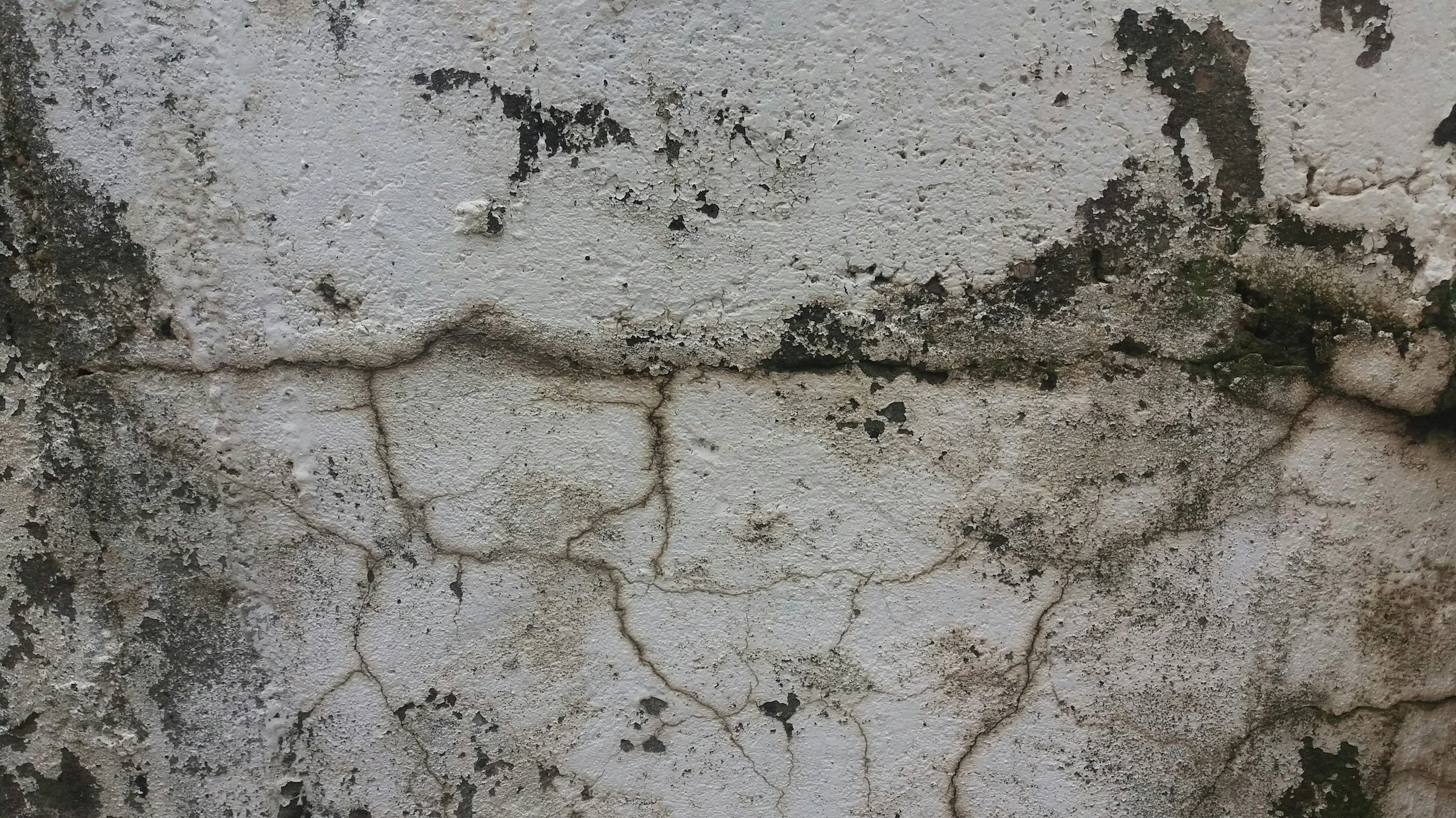 Why Mold Is So Common in Miami Homes (And How to Stop It)