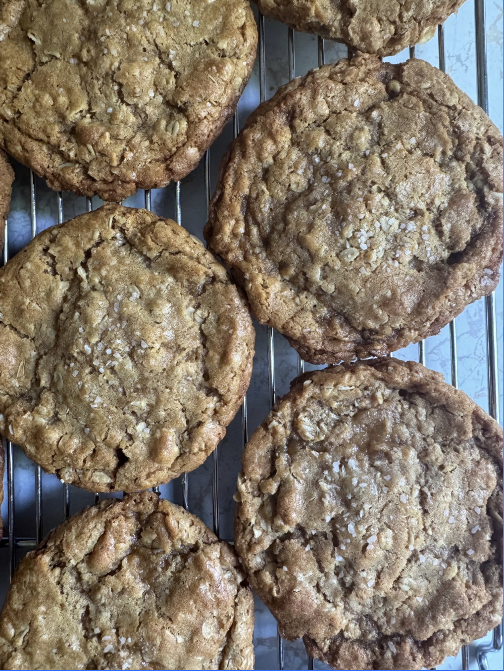 Screenshot 2025-12-14 at 11.01.17 AM.png