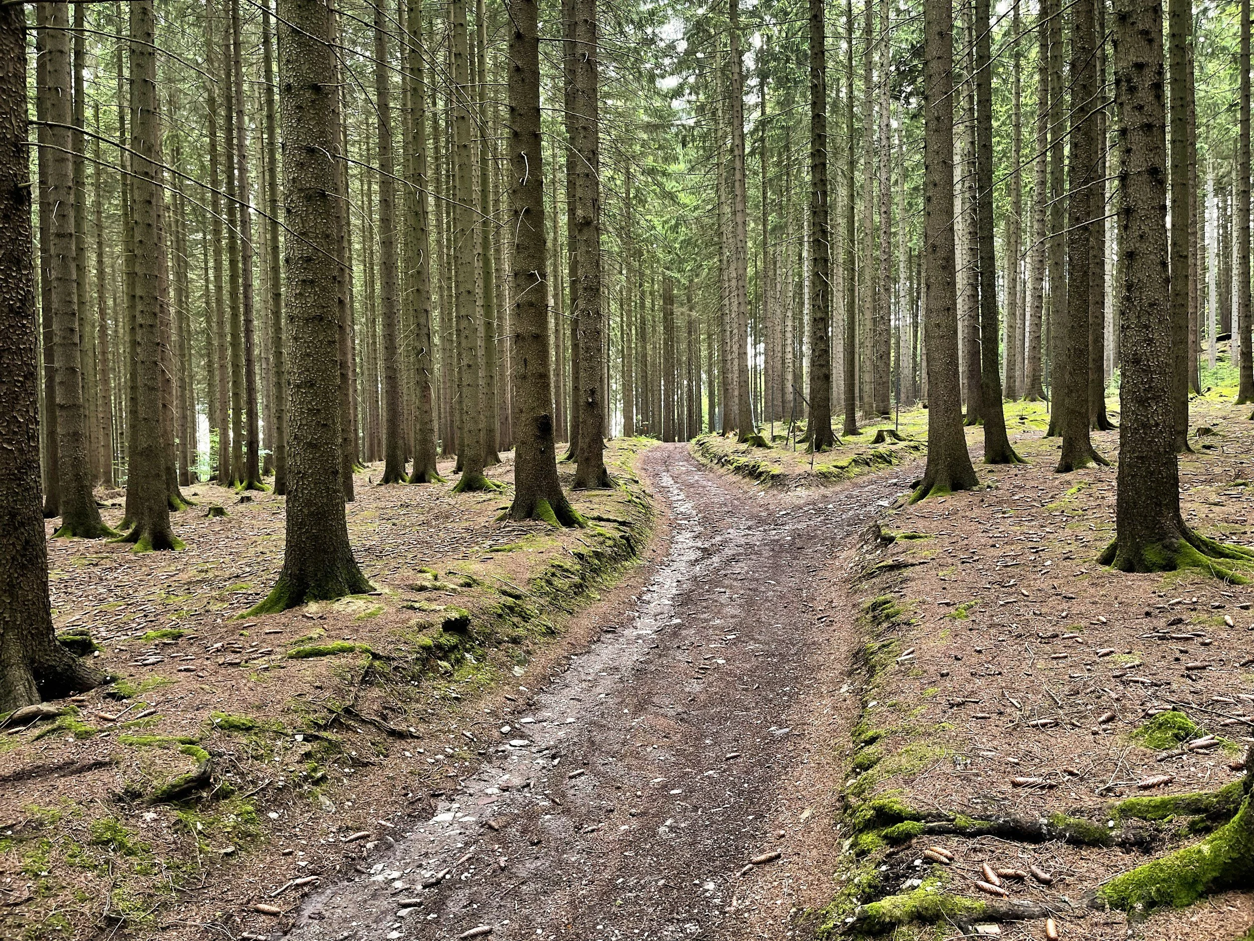 What I Thought This Novel Was About—and What It’s Becoming