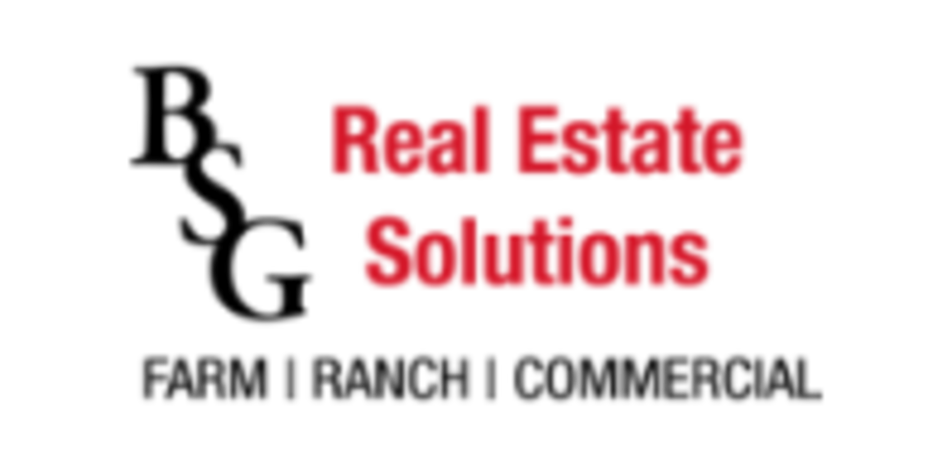 BSG Real Estate Logo