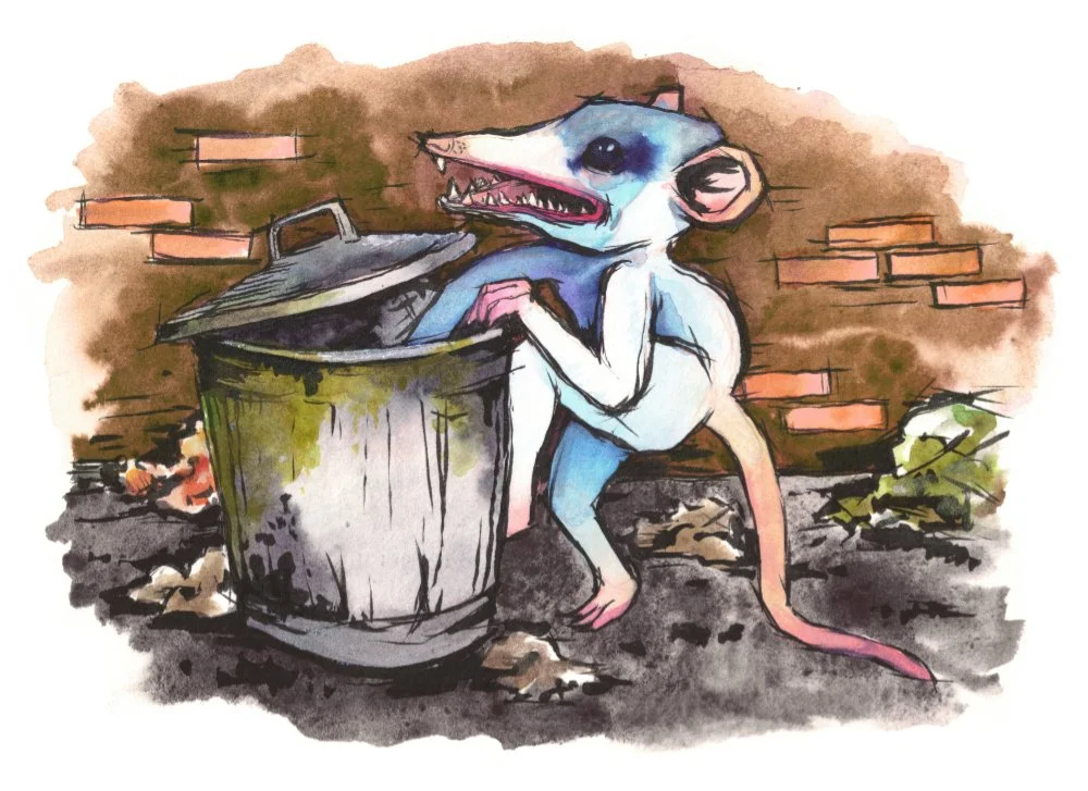 Possum, 2022, Mixed-Media Watercolor