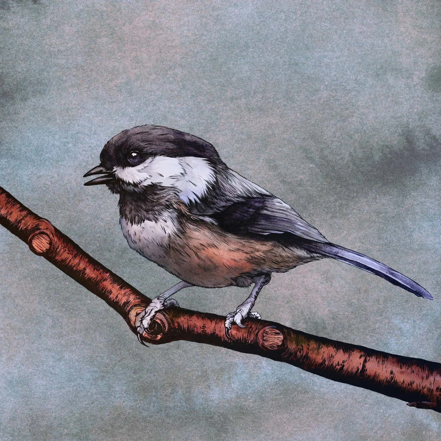 Black-capped Chickadee II, 2025, Mixed-Media Watercolor