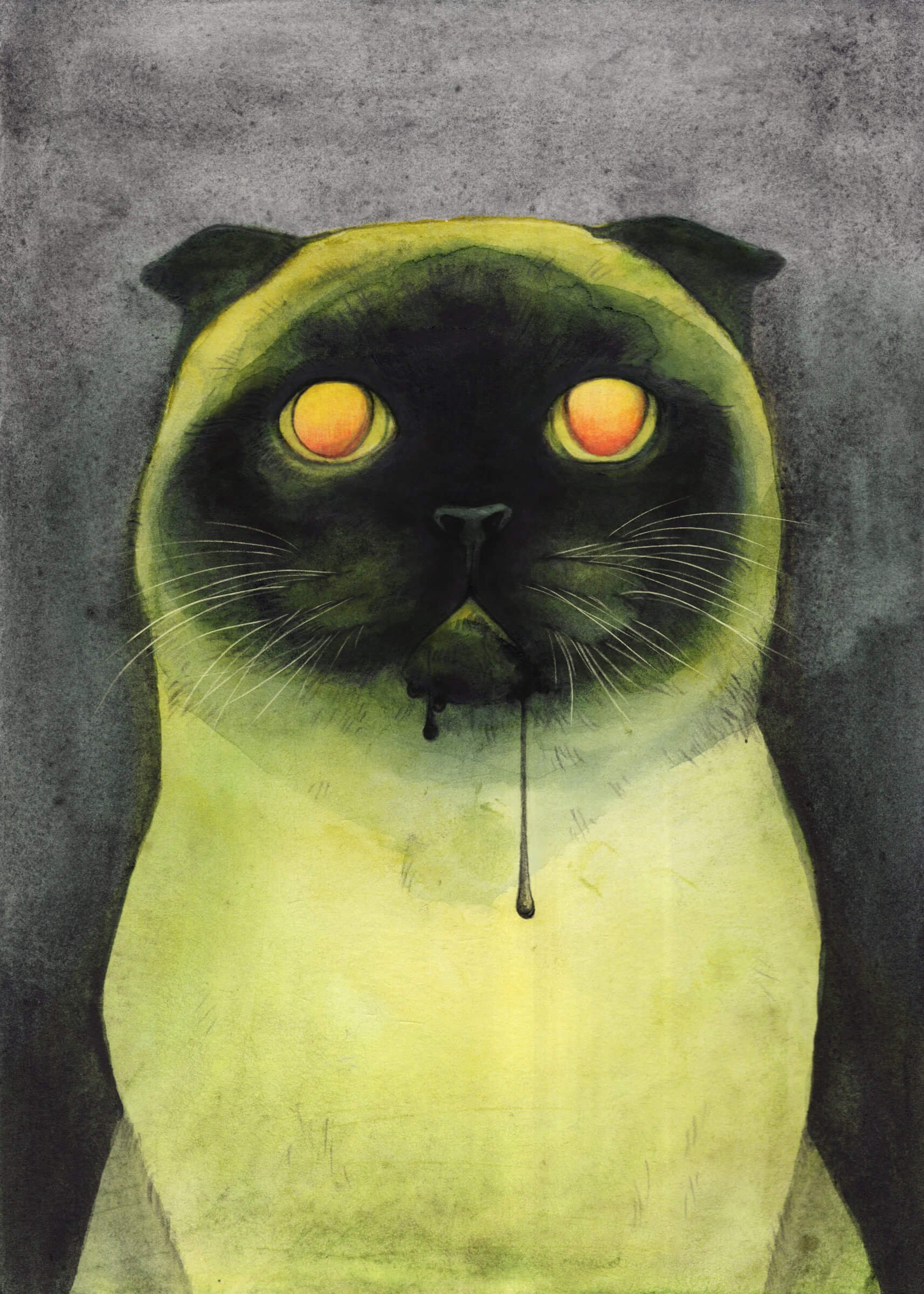 Abnormal Pet Portrait