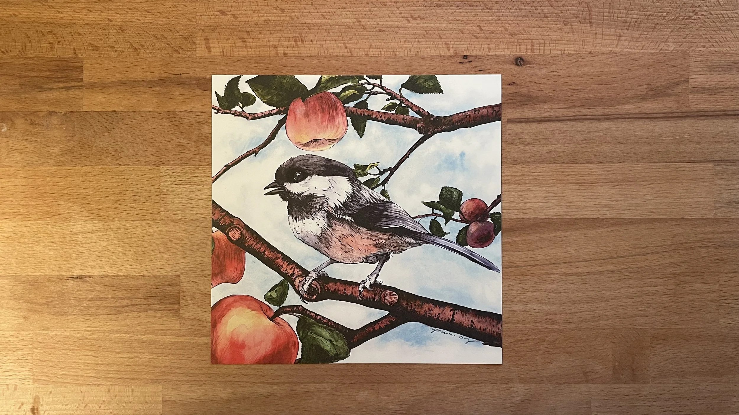 Black-capped Chickadee Watercolor Print