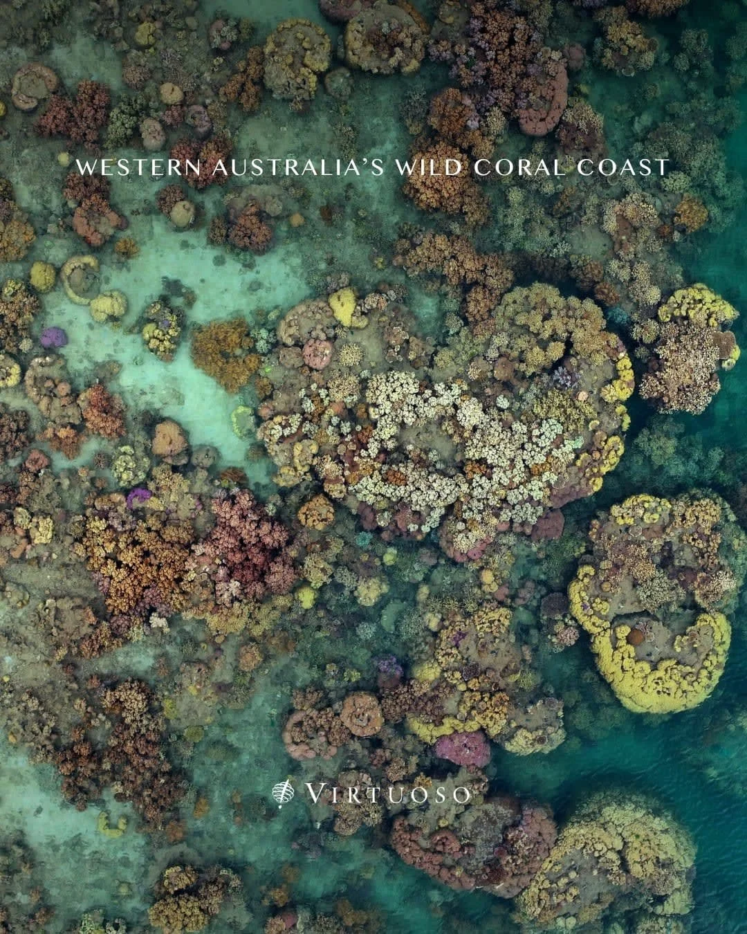 Explore Western Australia&rsquo;s wild coral coast on an intimate small-ship expedition. From the Dampier Archipelago&rsquo;s ancient petroglyphs to Ningaloo&rsquo;s reef sanctuaries and the remote Abrolhos Islands, each day reveals rare wildlife, ri